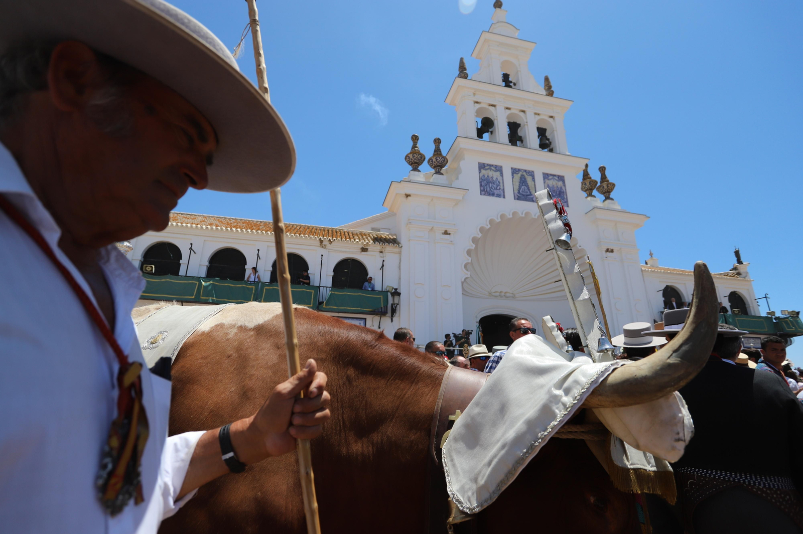Imágenes de la presentación de las  Hermandades filiales  del sábado en el Rocío