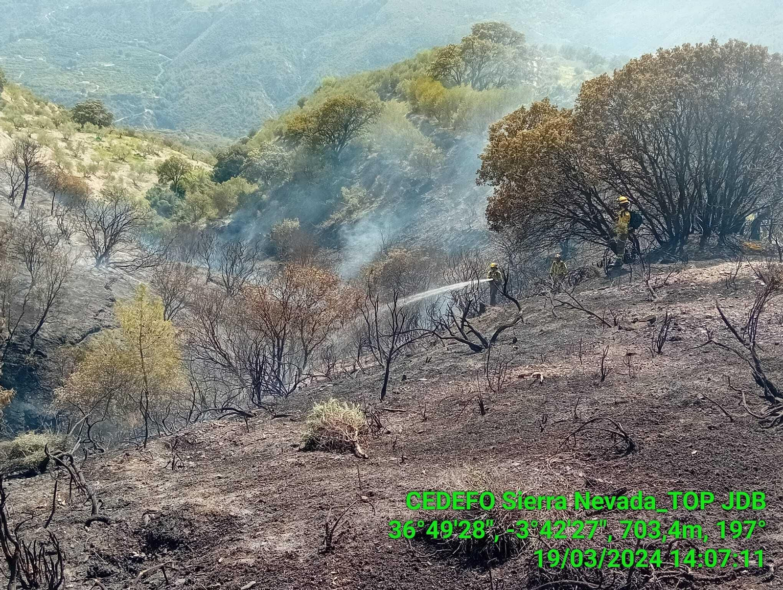 Incendio forestal en la costa de Granada: controlado el fuego en el paraje de Río Verde