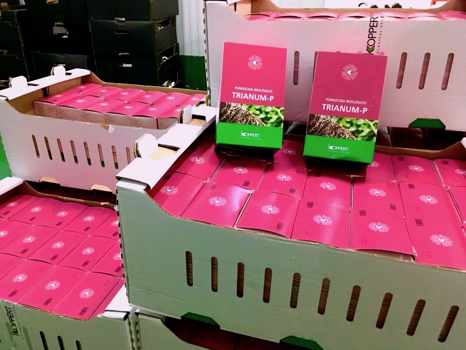 El fungicida Trianum.