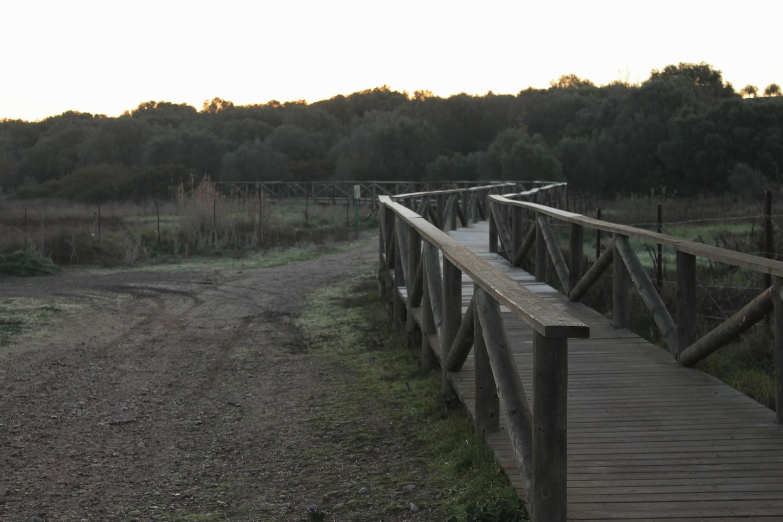 La Trocha por la laguna de Medina