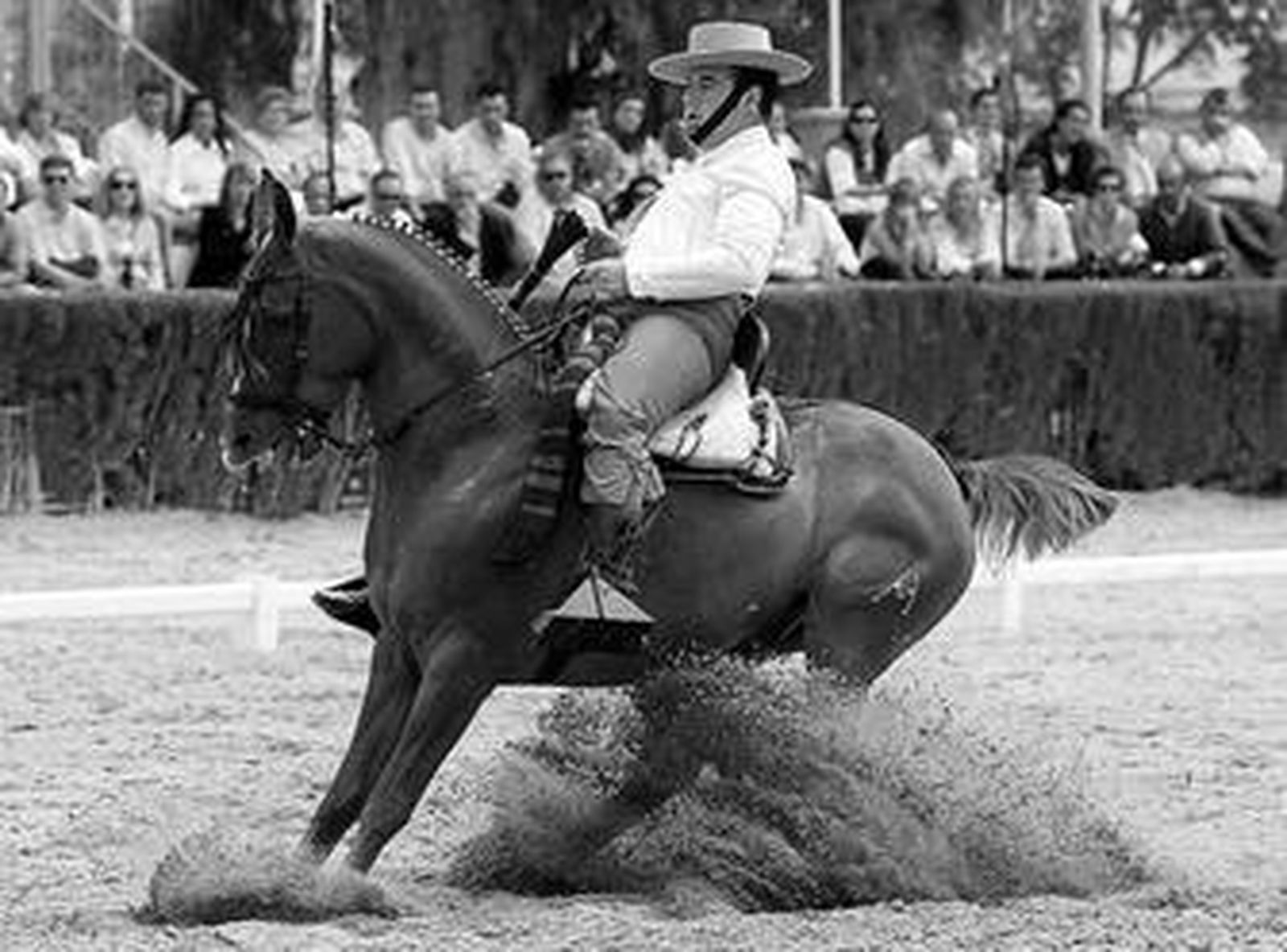 Una parada a raya, en un momento de la final de ayer de doma vaquera en Sementales.
