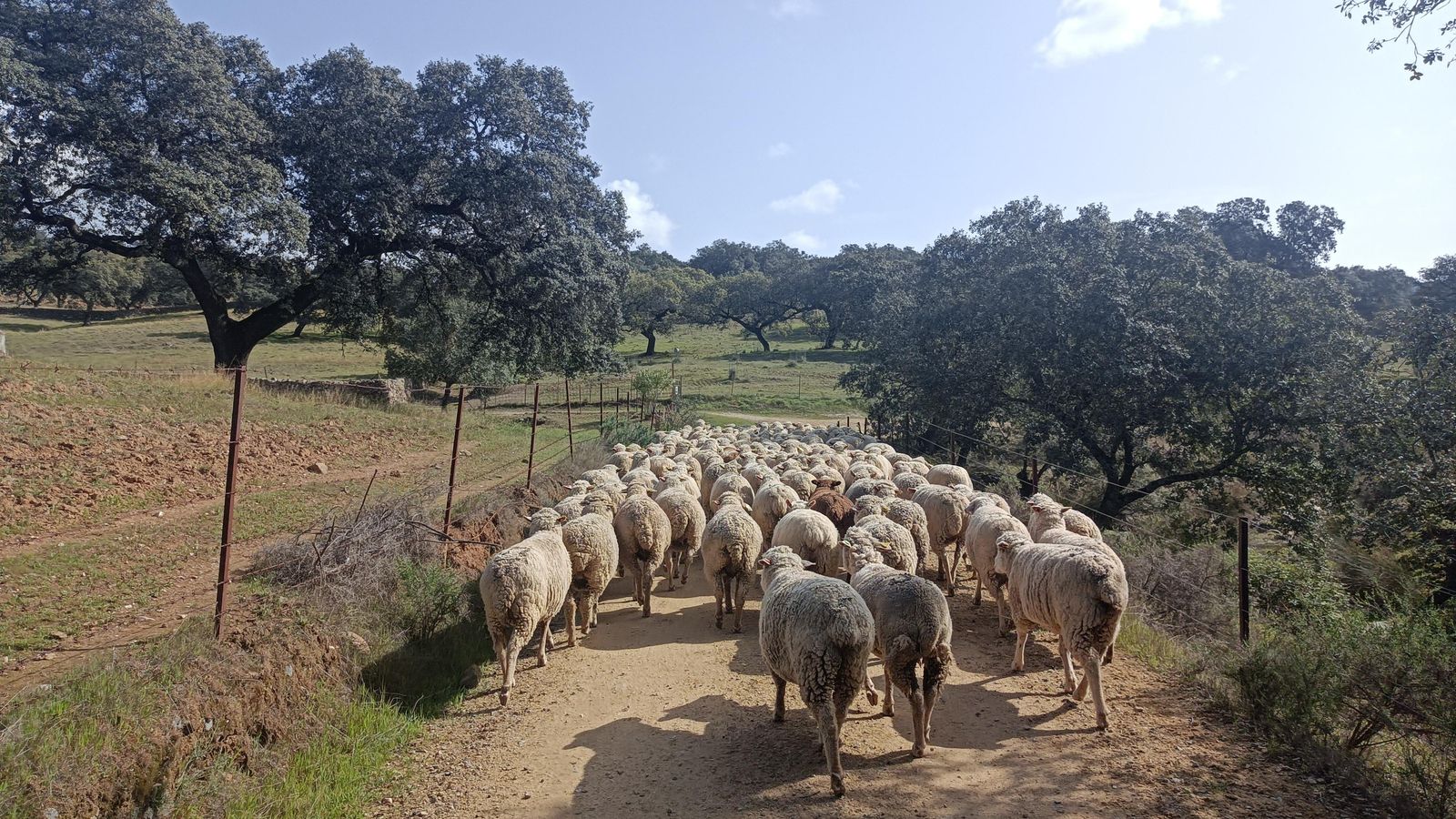 Fotos de la georruta de La Lobera