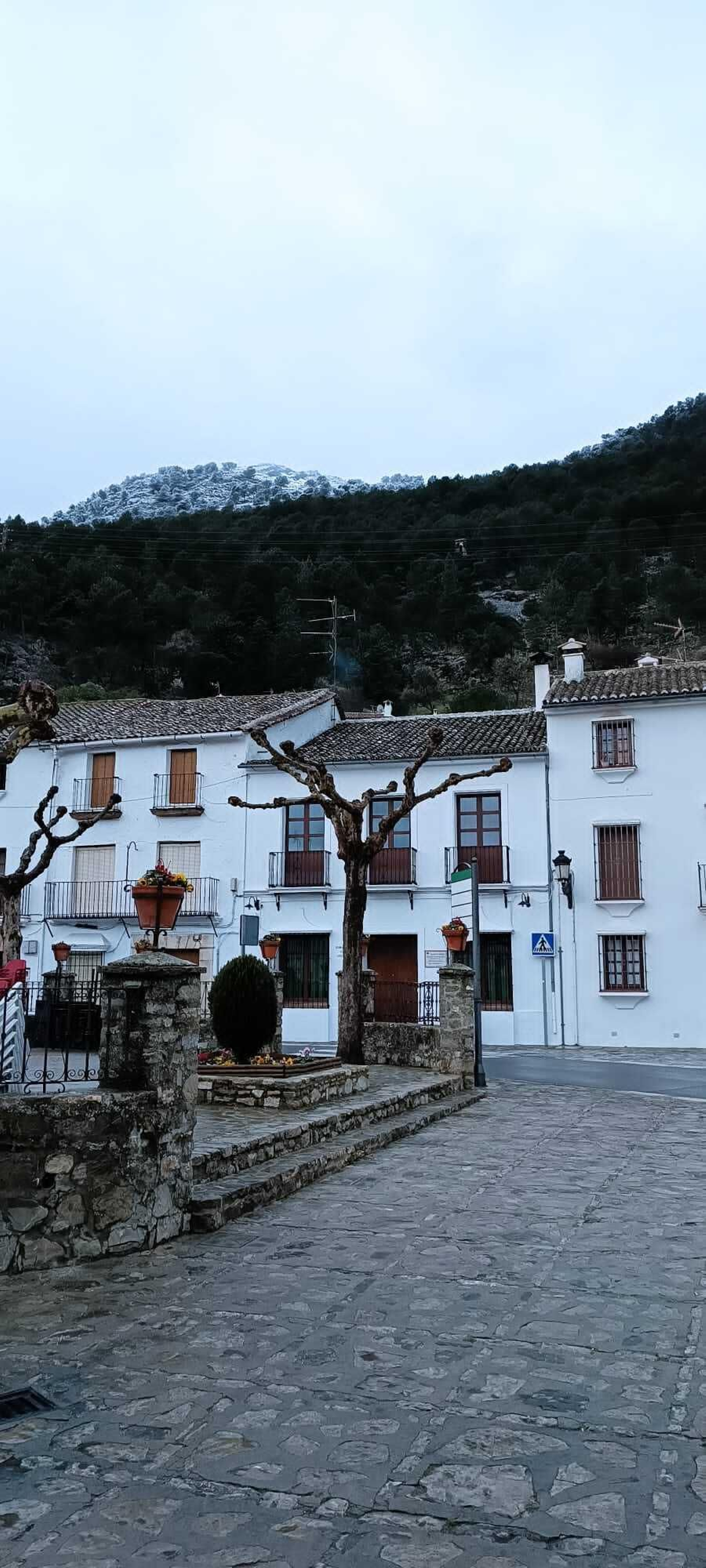 Los copos no han llegado a Grazalema