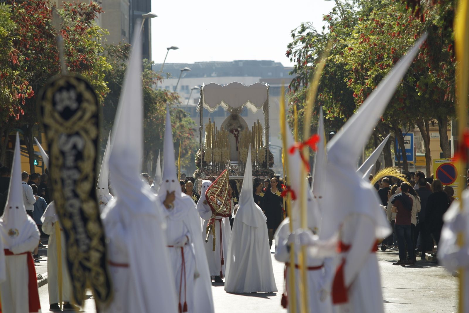 Imágenes Procesión de la Borriquita de Almería capital. Semana Santa 2019