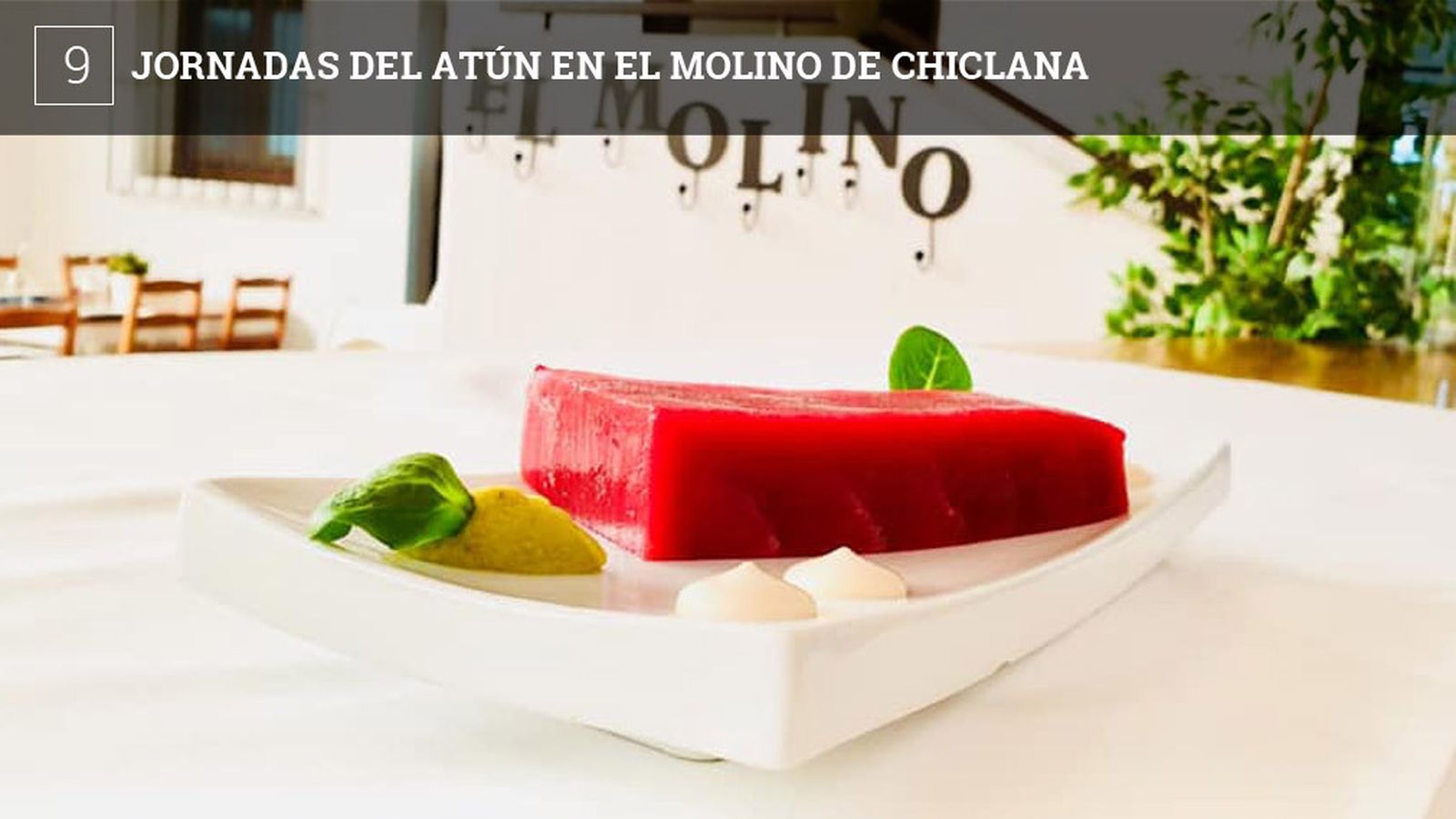El Molino Tapas de Chiclana (Calle Hormaza) celebrará su VI Semana del Atún del 7 al 12 de mayo. La actividad central, el ronqueo, se celebrará el 7 al mediodía y las plazas son limitadas, por lo que hay que reservar en el 956535011. El resto de los días habrá en el establecimiento una carta especial de platos realizados con este producto que irán desde preparaciones en crudo hasta "vuelta y vuelta".