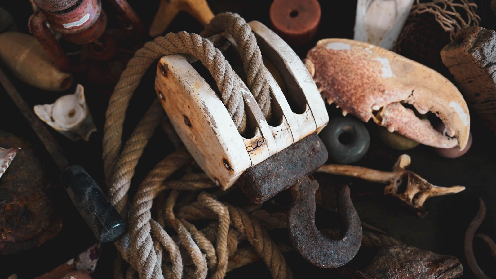 Tarifa Respira una asociación dedicada a la conservación y protección de Tarifa y sus alrededores