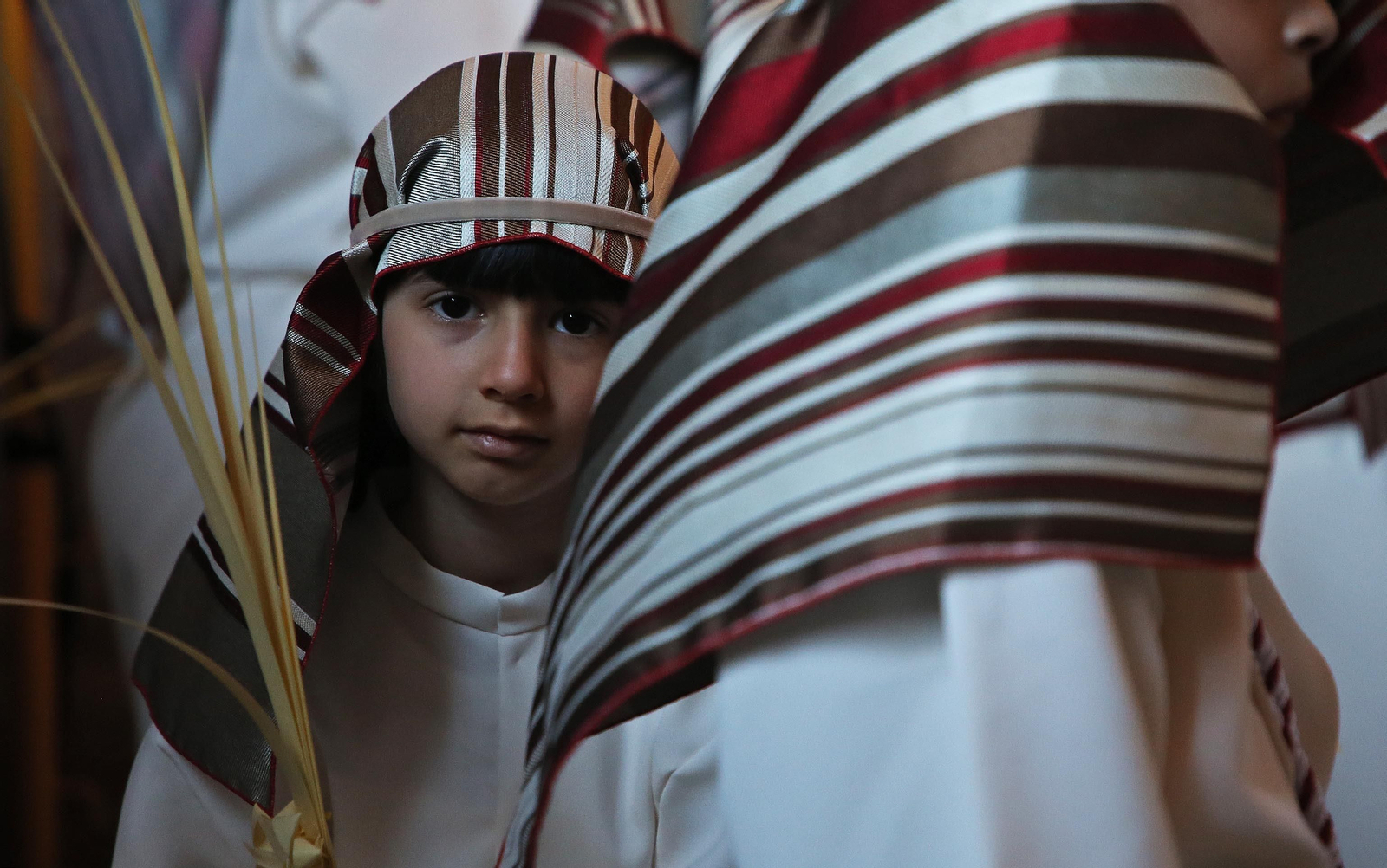 Fotos del Domingo de Ramos en San Roque: La Borriquita