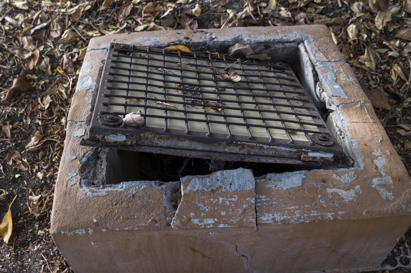 Las imágenes del mal estado de los paseos de Cádiz