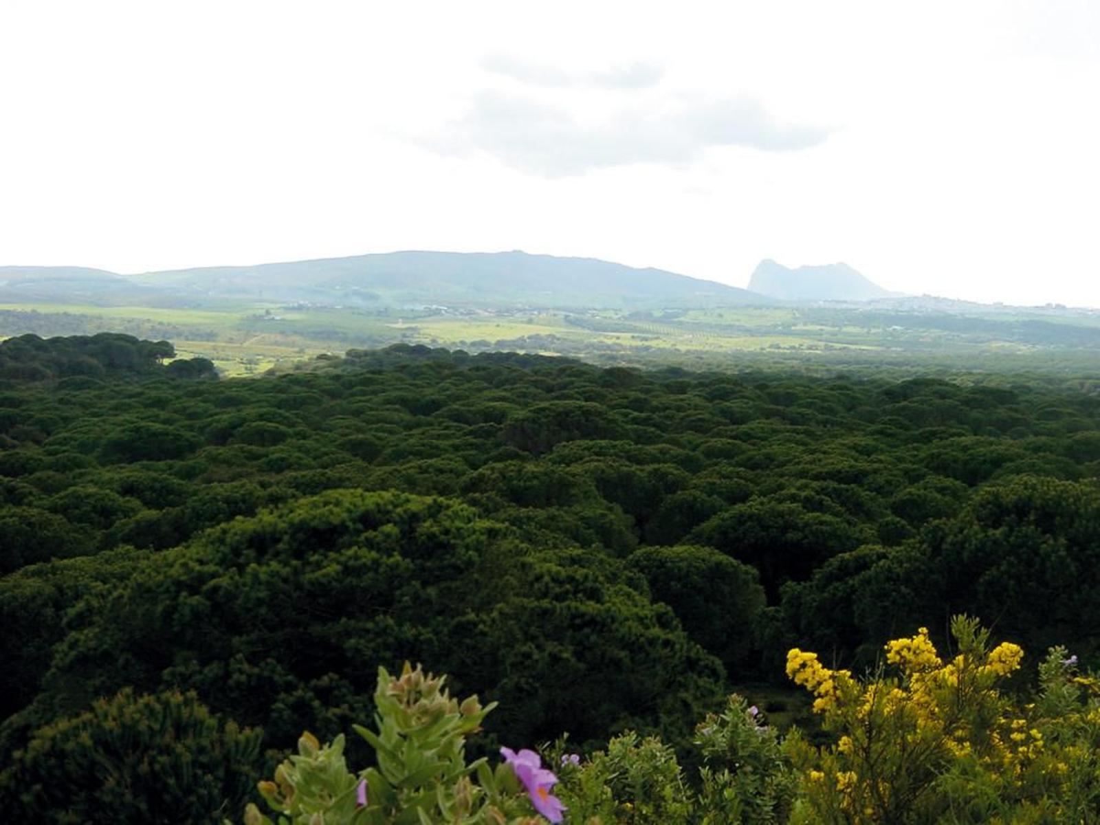 Diez rutas senderistas para hacer en el Campo de Gibraltar