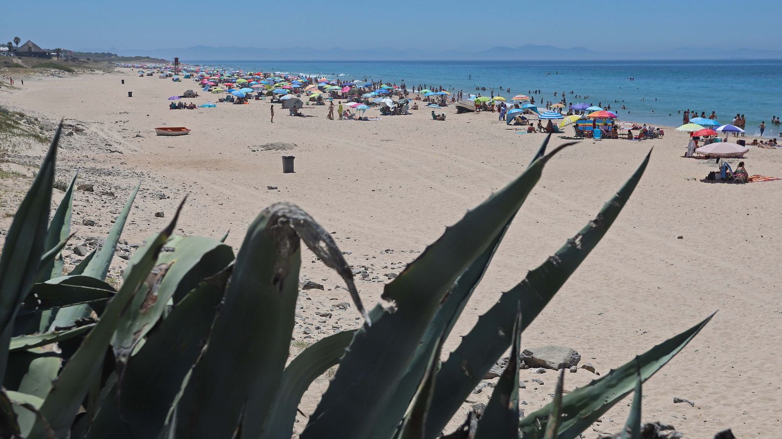 Restricciones de acceso a la playa de Bolonia