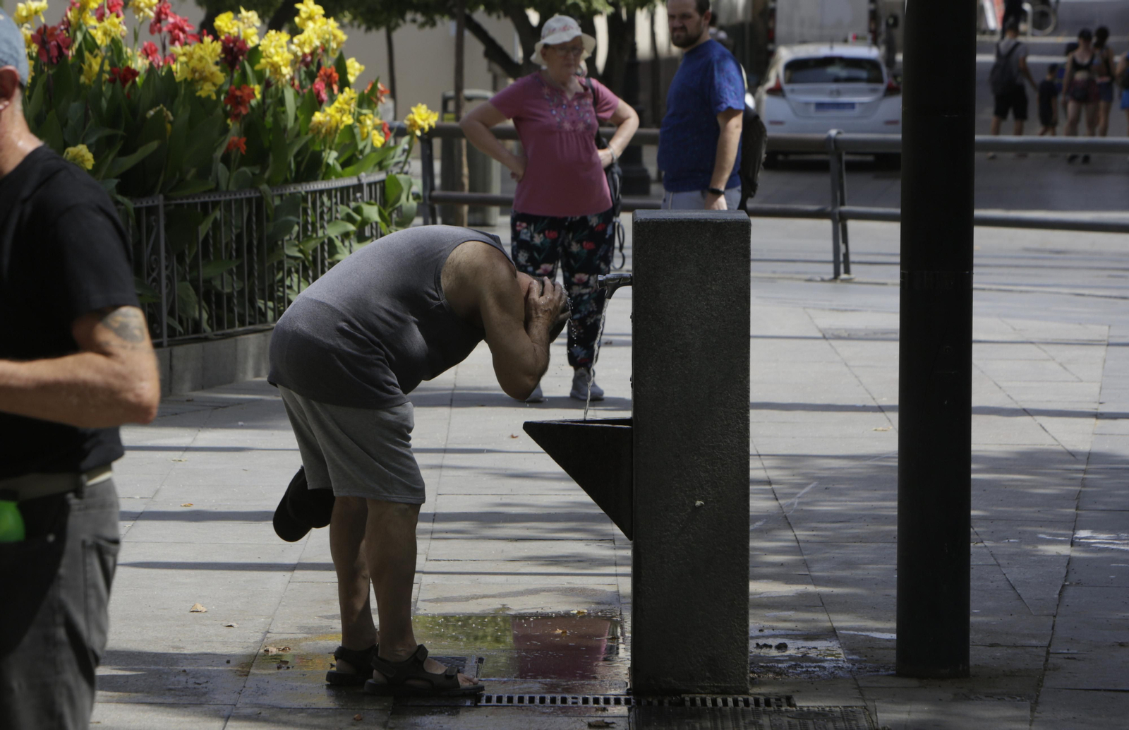 Un hombre se moja la cabeza en una fuente pública en Sevilla capital.