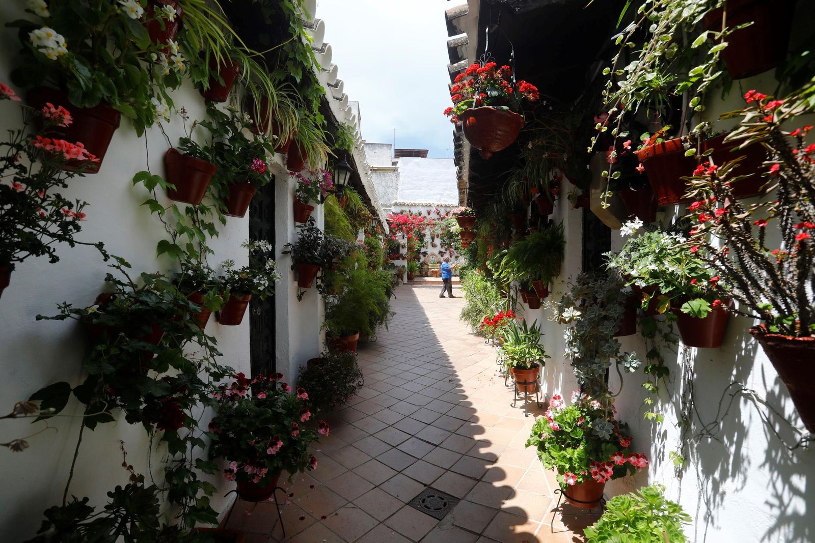 Un recorrido en imágenes por los patios de la ruta Regina-Realejo