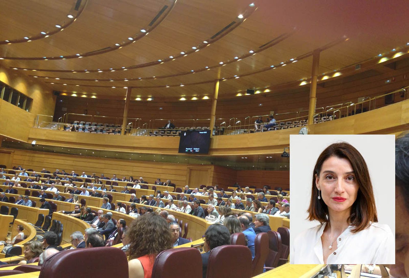 Pilar Llop, con el Senado de fondo