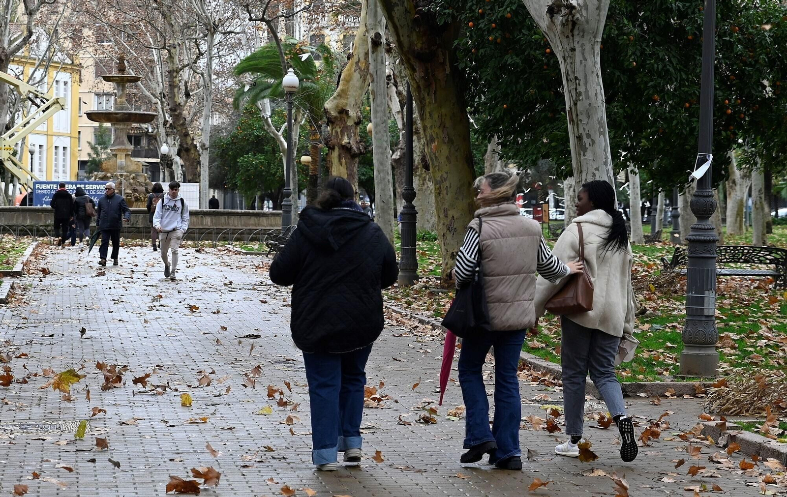 El temporal de viento y lluvia en Córdoba, en imágenes