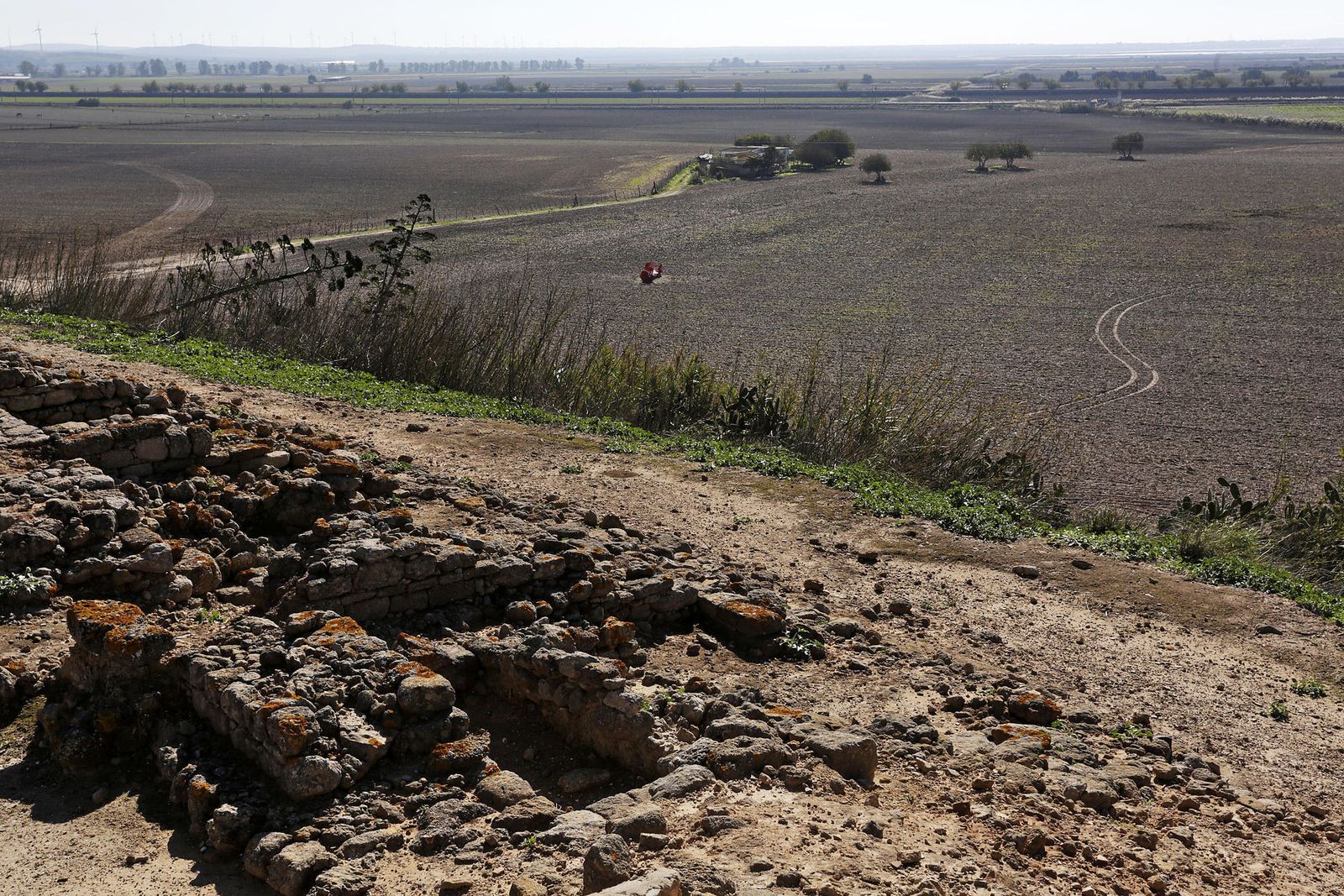 Doña Blanca y los terrenos donde ha aparecido el puerto de época púnica.
