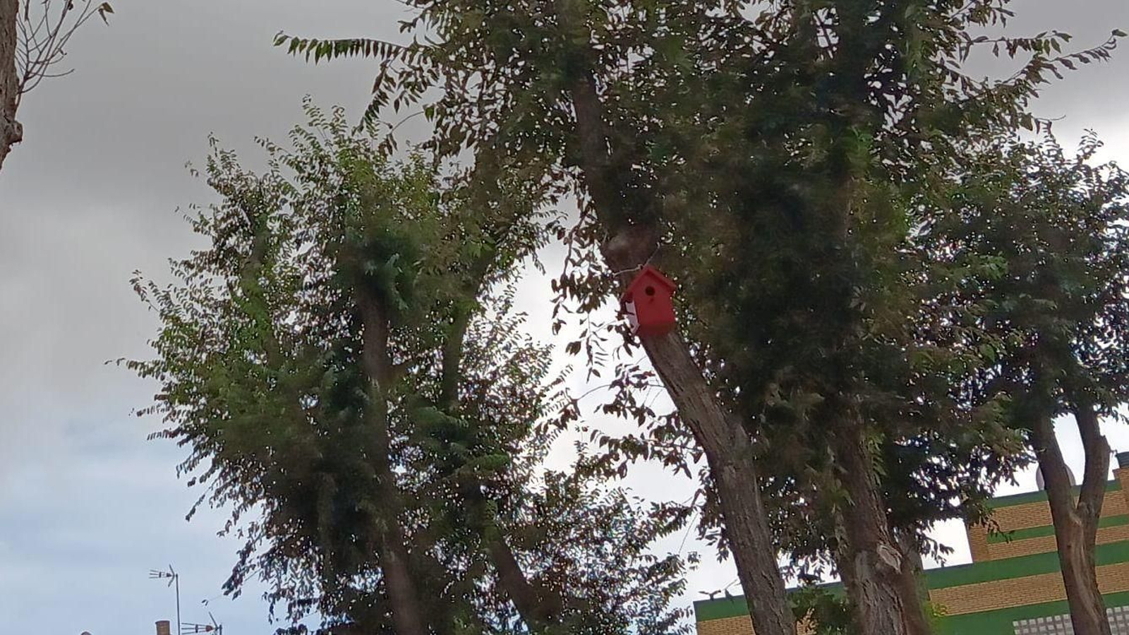 Una de las casitas para pajaros que se han instalado Una de las casitas para pajaros que se han instalado