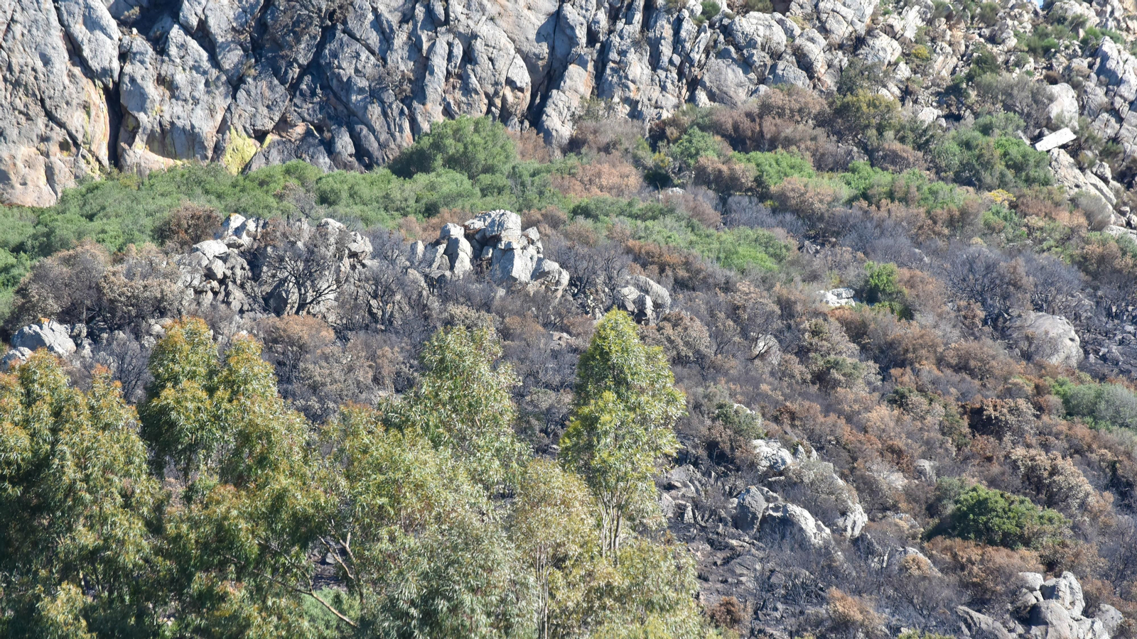 Fotos de la zona de Betijuelos incendiada