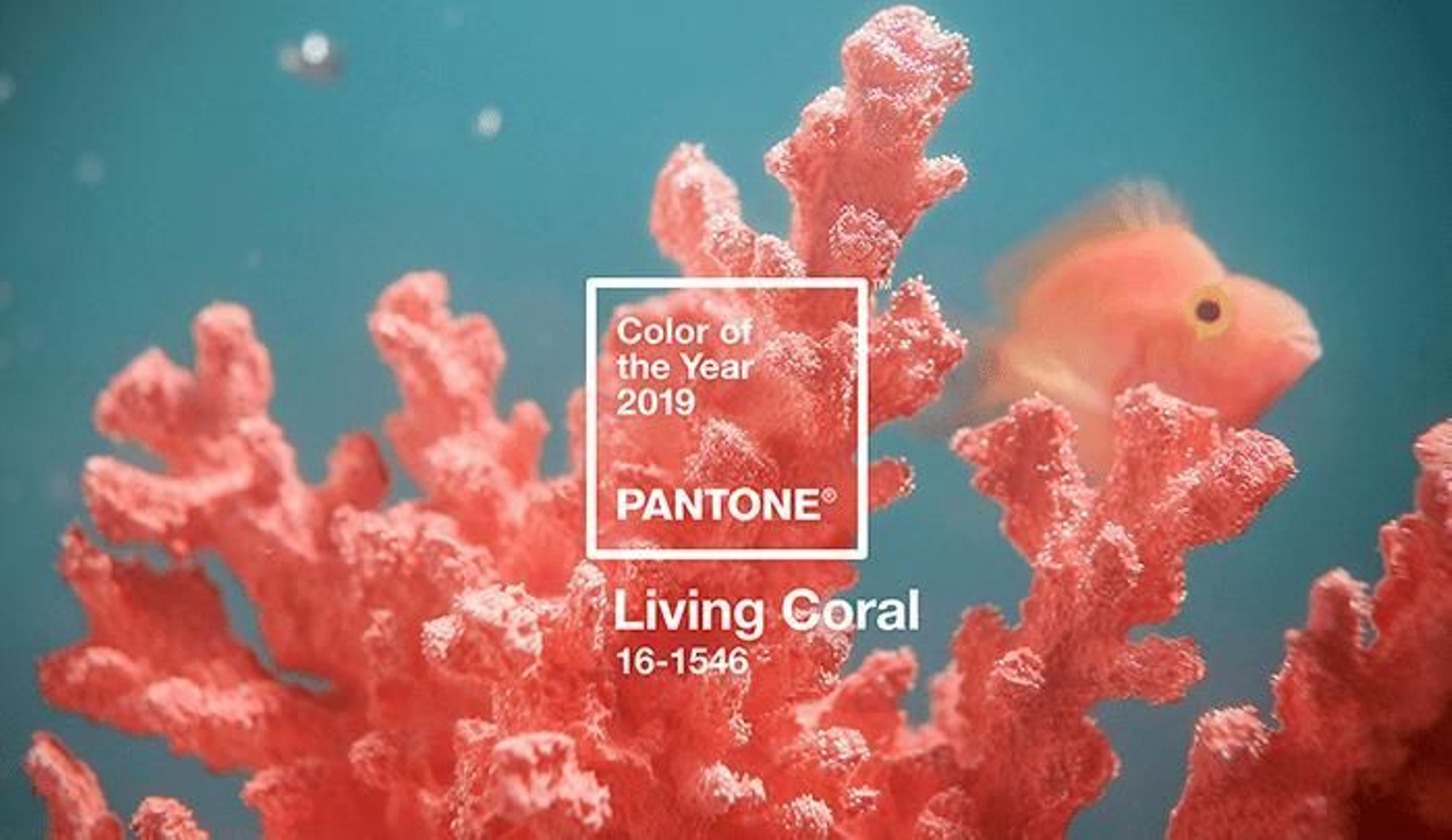 'Living Coral', el Color del Año 2019 de Pantone.