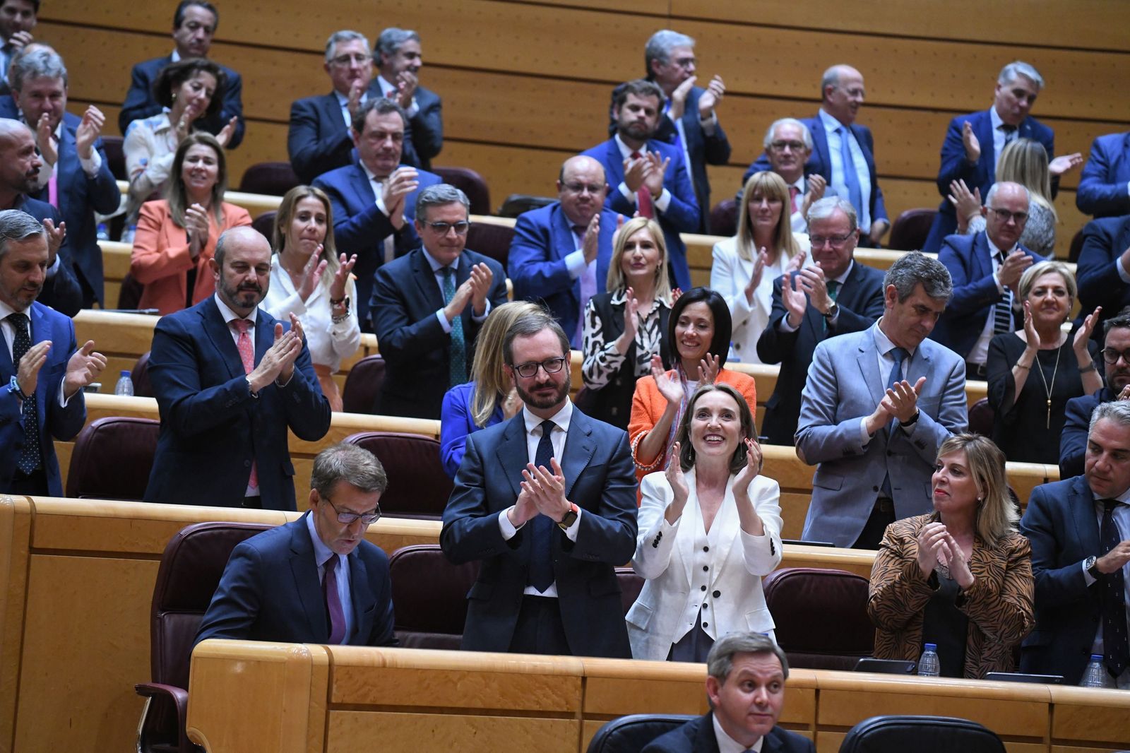 Senadores del PP aplauden la aprobación definitiva de la norma esta misma semana