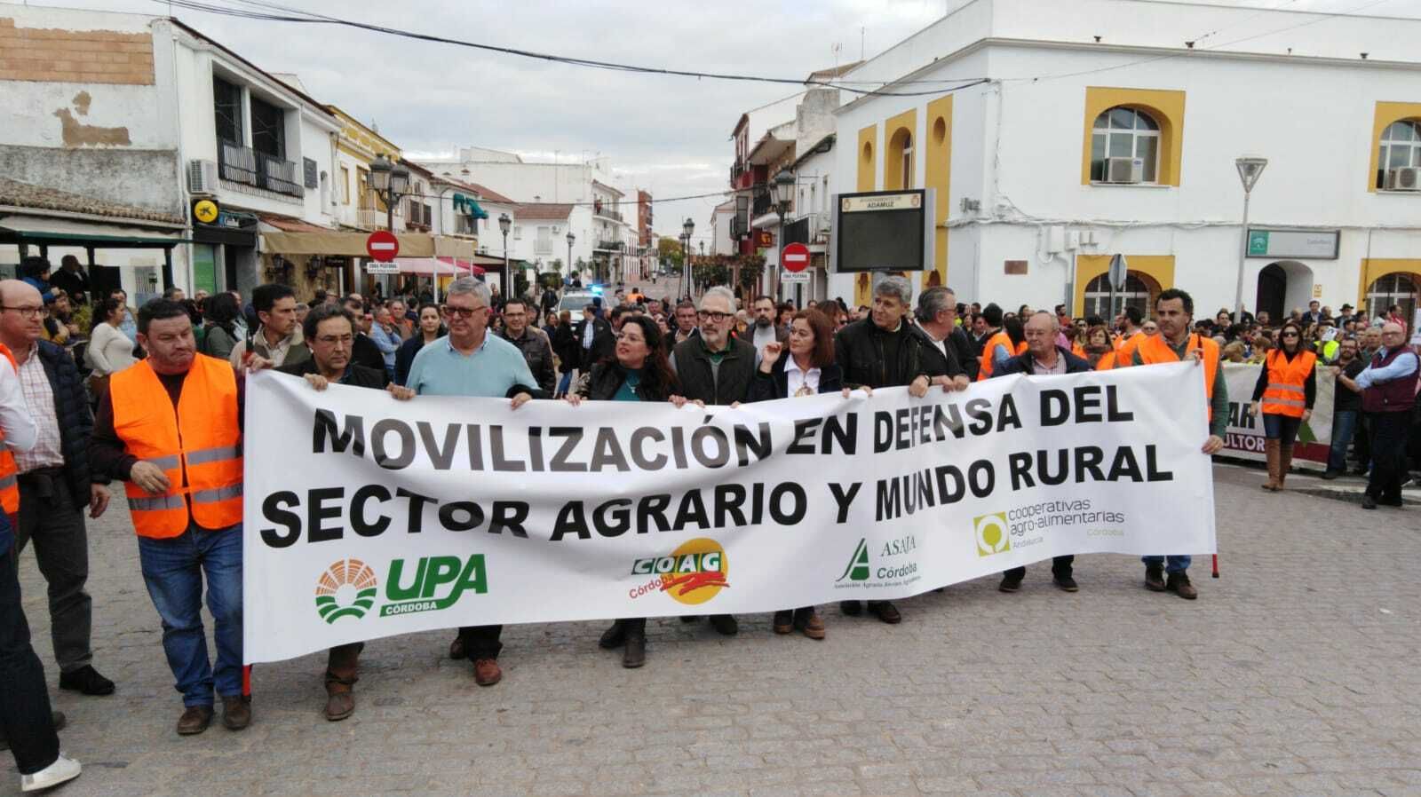 Cabeza de la concentración