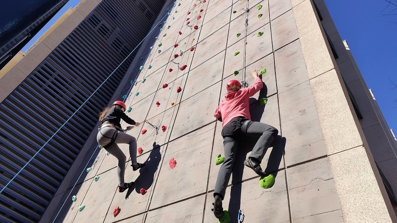 Durante los próximos meses se podrá disfrutar, en los días programados, de mañanas completas para enfrentarse al rocódromo de la UJA.