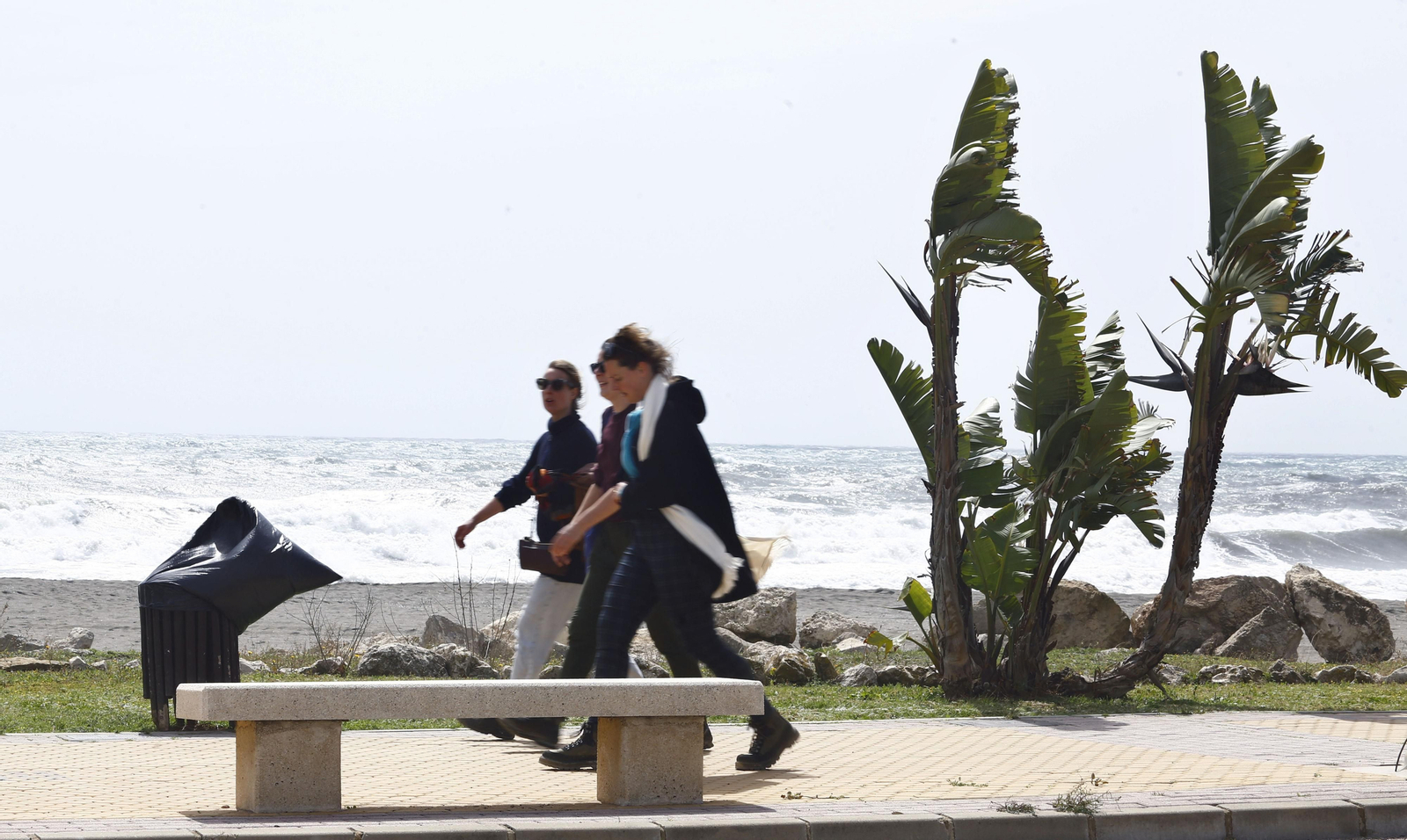 Fotos del temporal de viento levante en Málaga