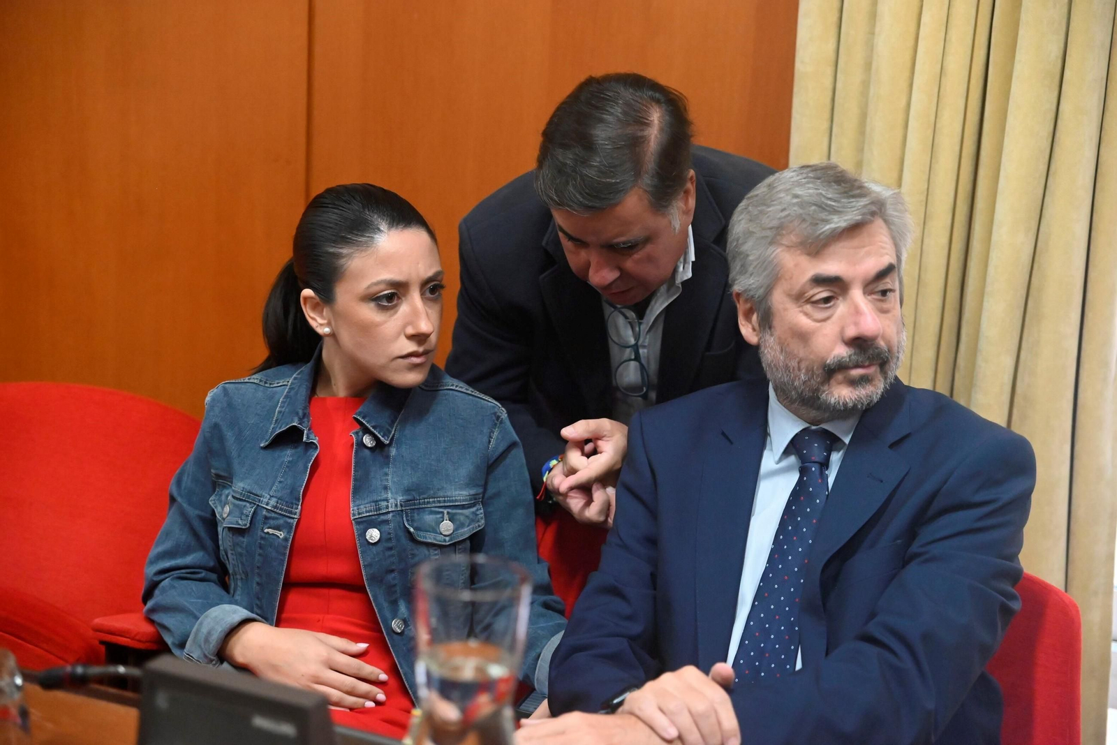 Pleno del Ayuntamiento (8951694).jpg Pleno del Ayuntamiento (8951694).jpg
