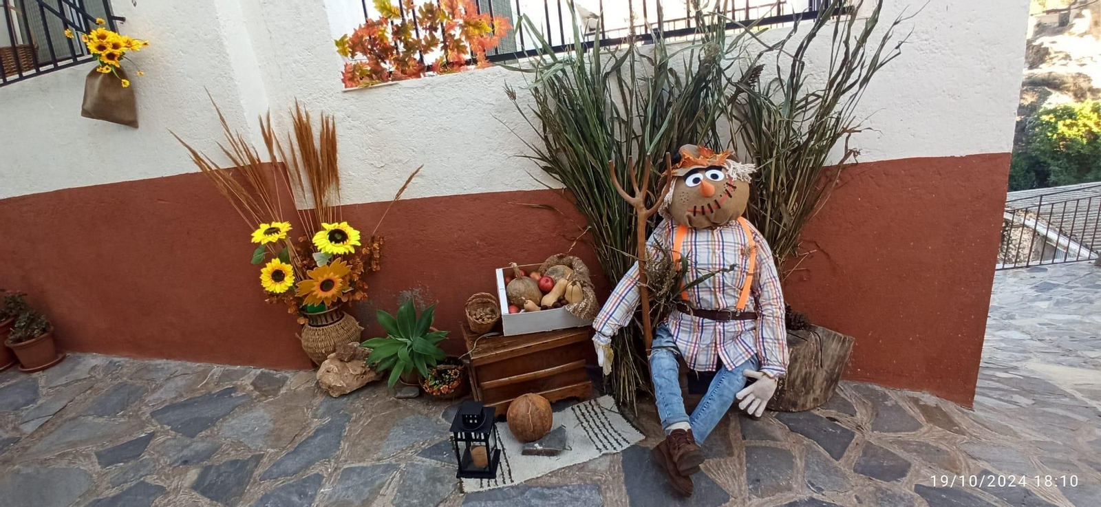 Conoce a los 27 vecinos nuevos que han llegado a vivir a Bacares este otoño