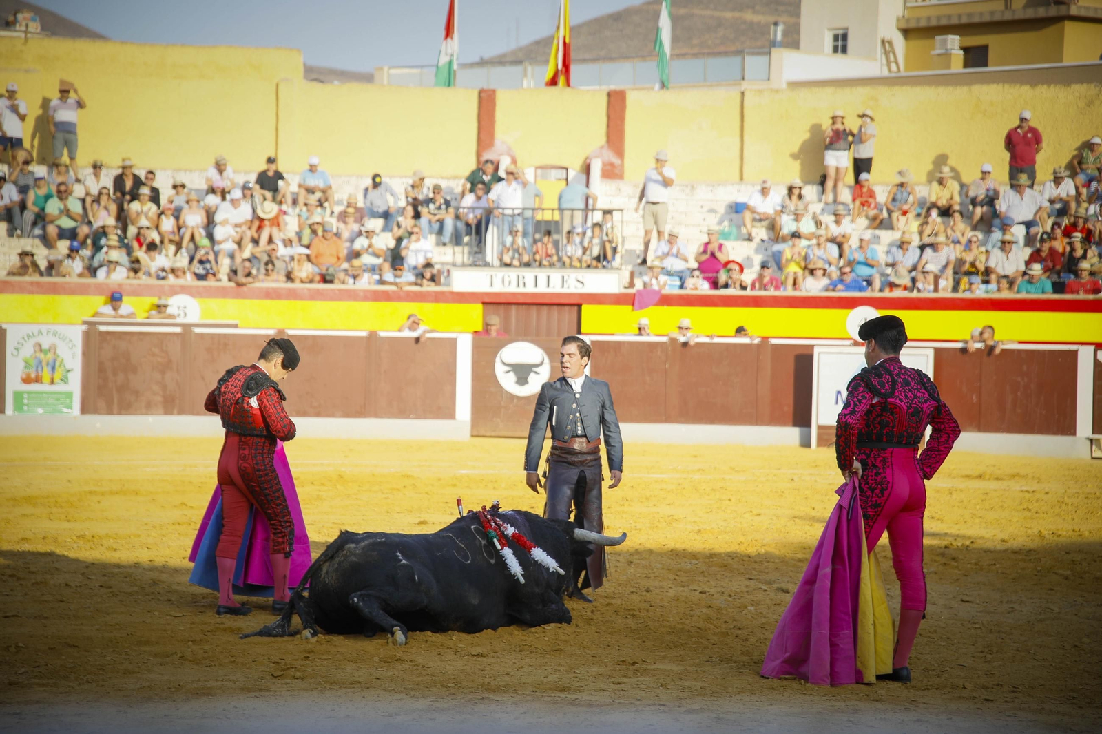 Corrida de toros Berja con un toro indultado, en imágenes