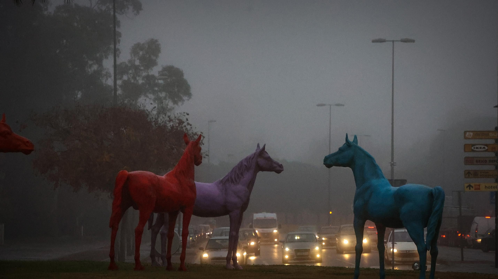Densa niebla en Jerez