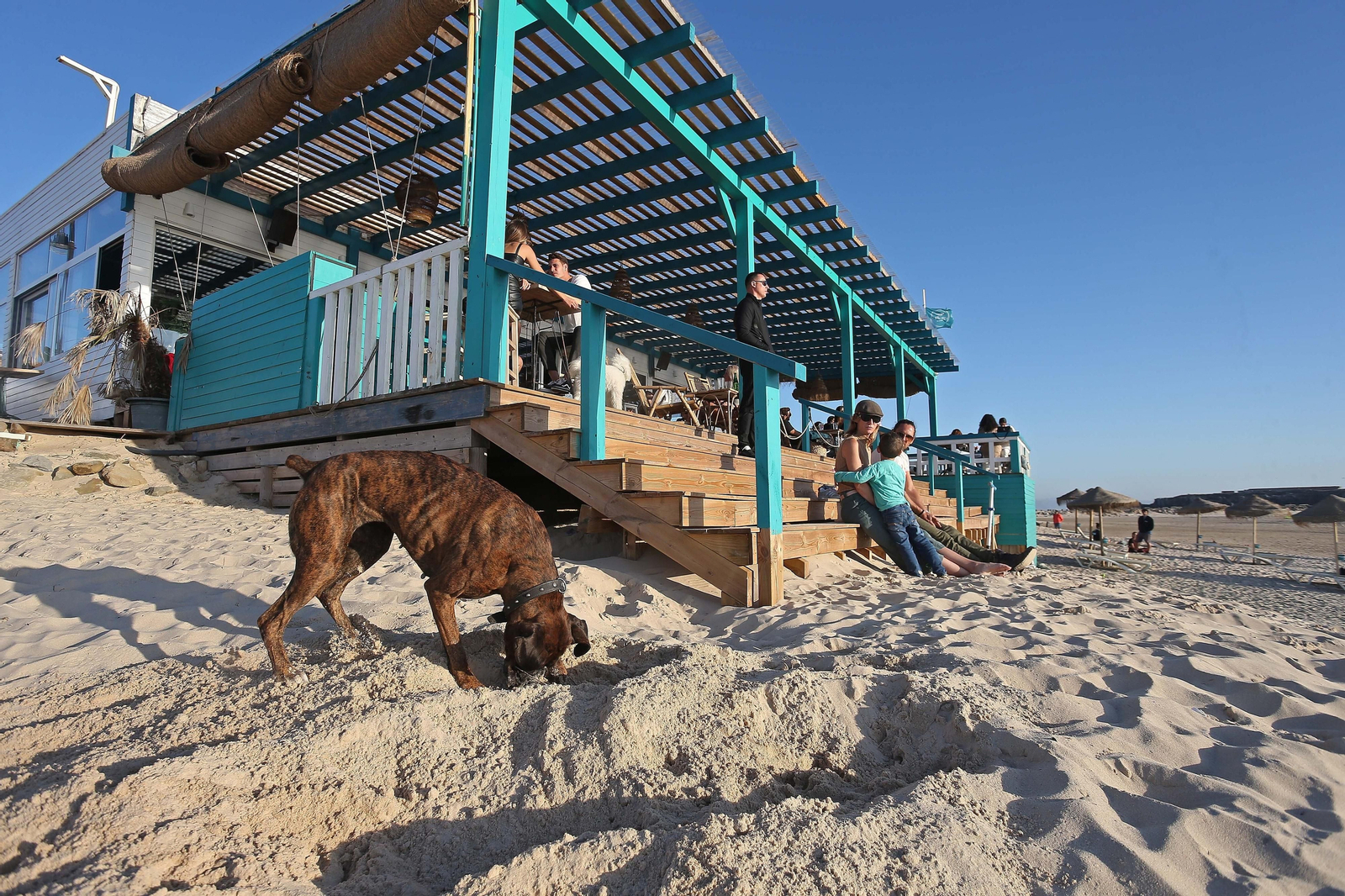Imágenes de una mañana de noviembre en Tarifa
