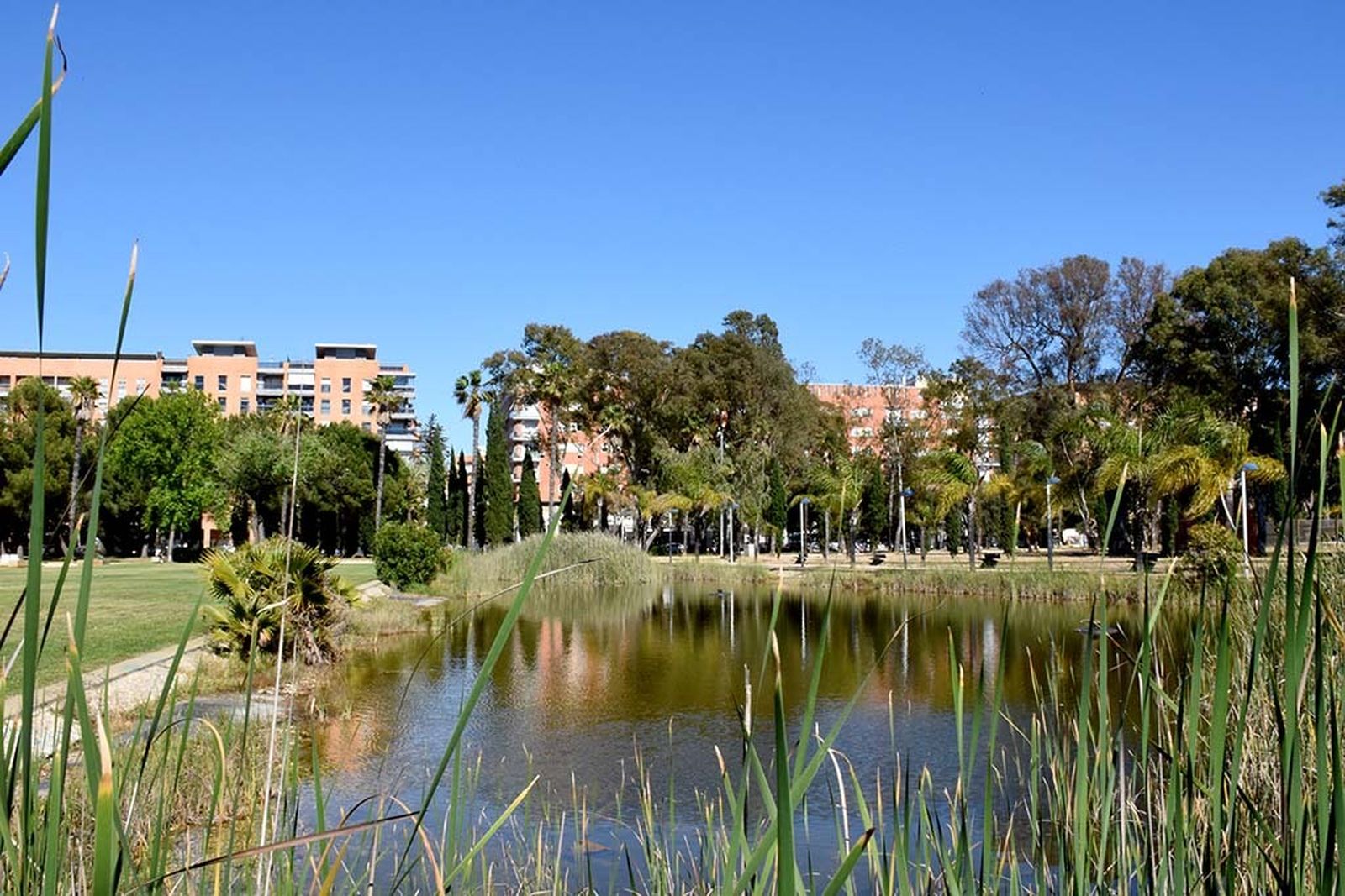 Imágenes del lunes 6 de mayo en Huelva