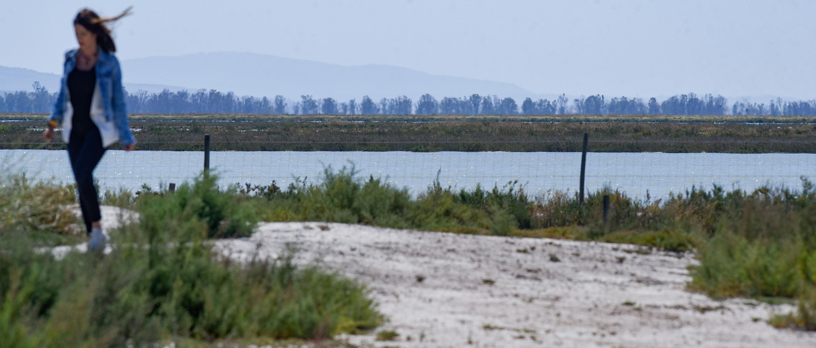 Imágenes de la finca Veta la Palma