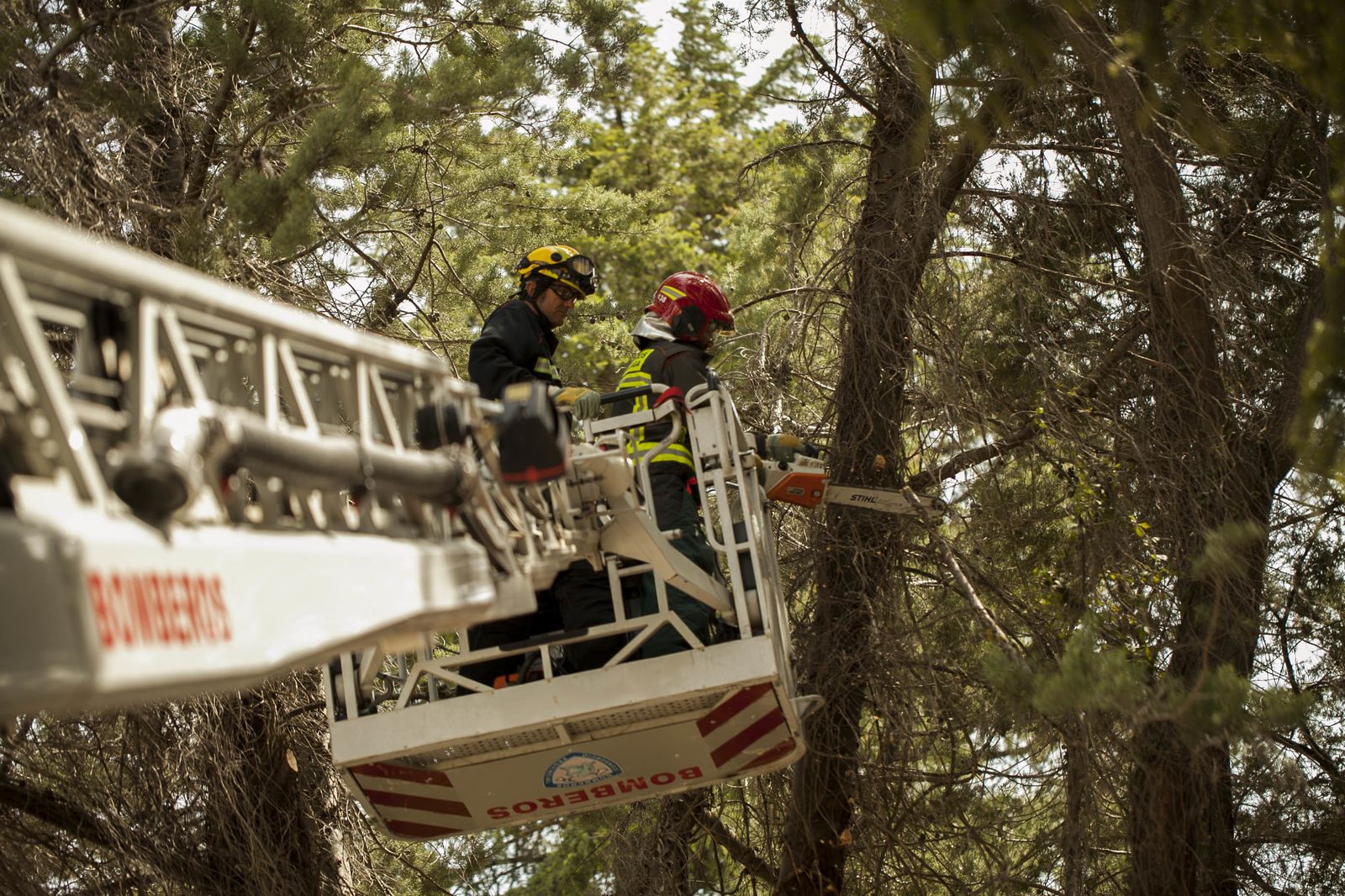 El Consorcio de Bomberos realiza 70 intervenciones a causa del fuerte viento