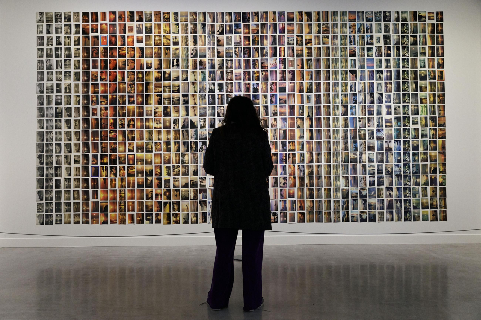 CaixaForum Sevilla. Inauguración de la exposición 'Horizonte y límite. Visiones del paisaje'