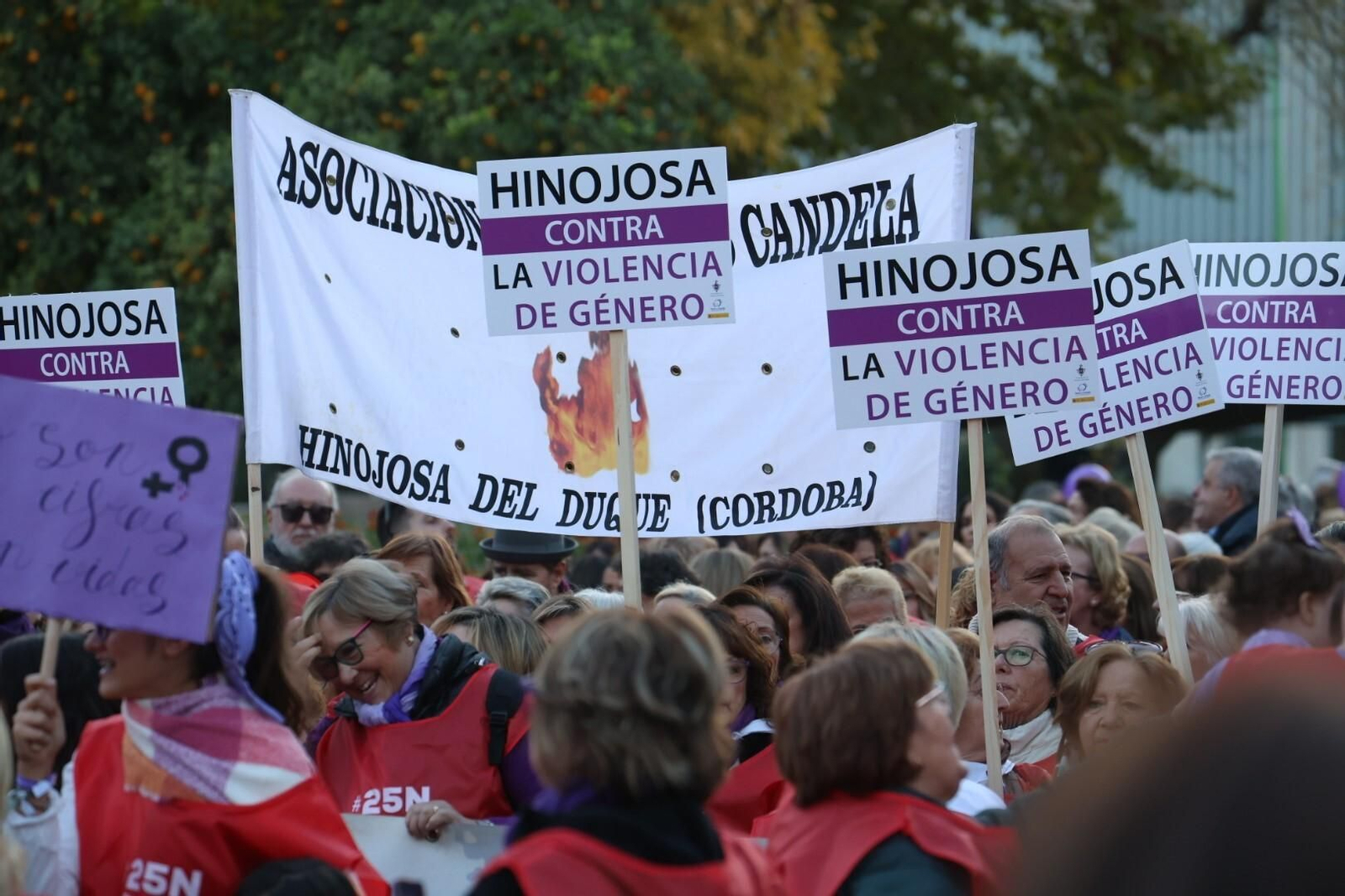 La manifestación del 25N en Córdoba, en imágenes