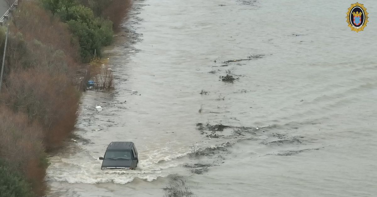 El inicio de la poda y replantación de viñas en el Marco de Jerez sufre retrasos por las borrascas