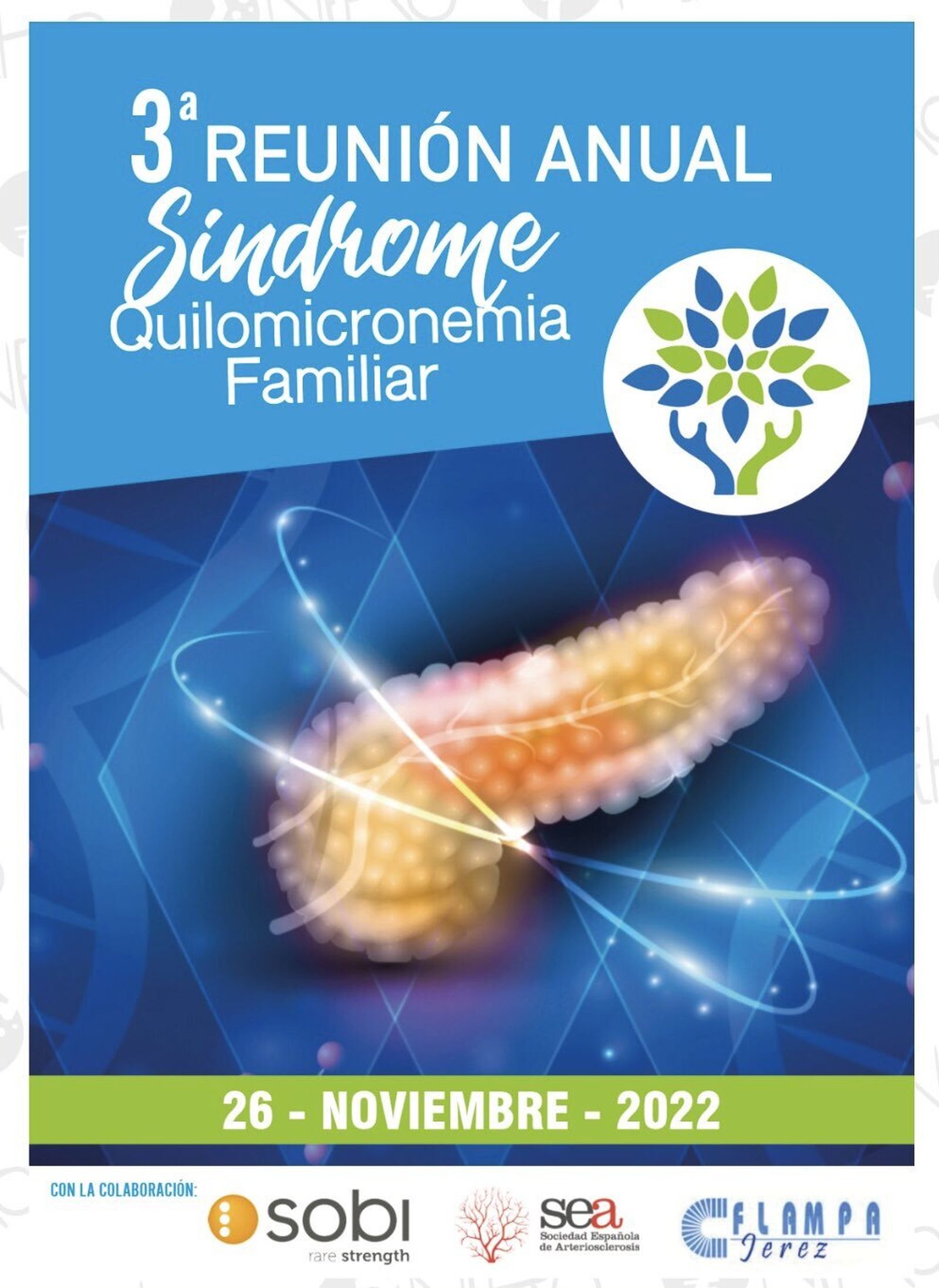 Cartel de la reunión de la Asociación Síndrome Quilomicronemia Familiar