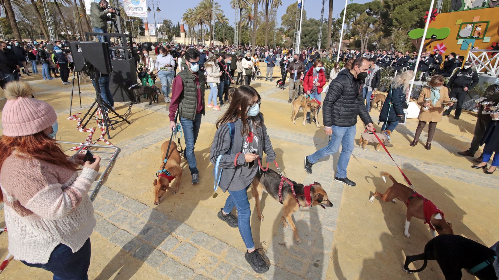 Imágenes de la 'Fiesta de San Antón 2022'