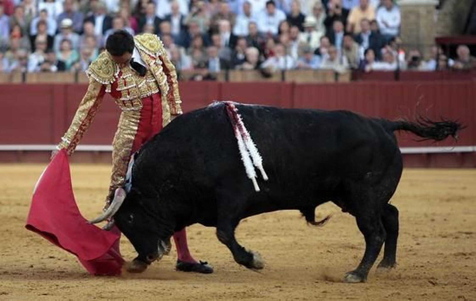 Foto: Juan Carlos Muñoz