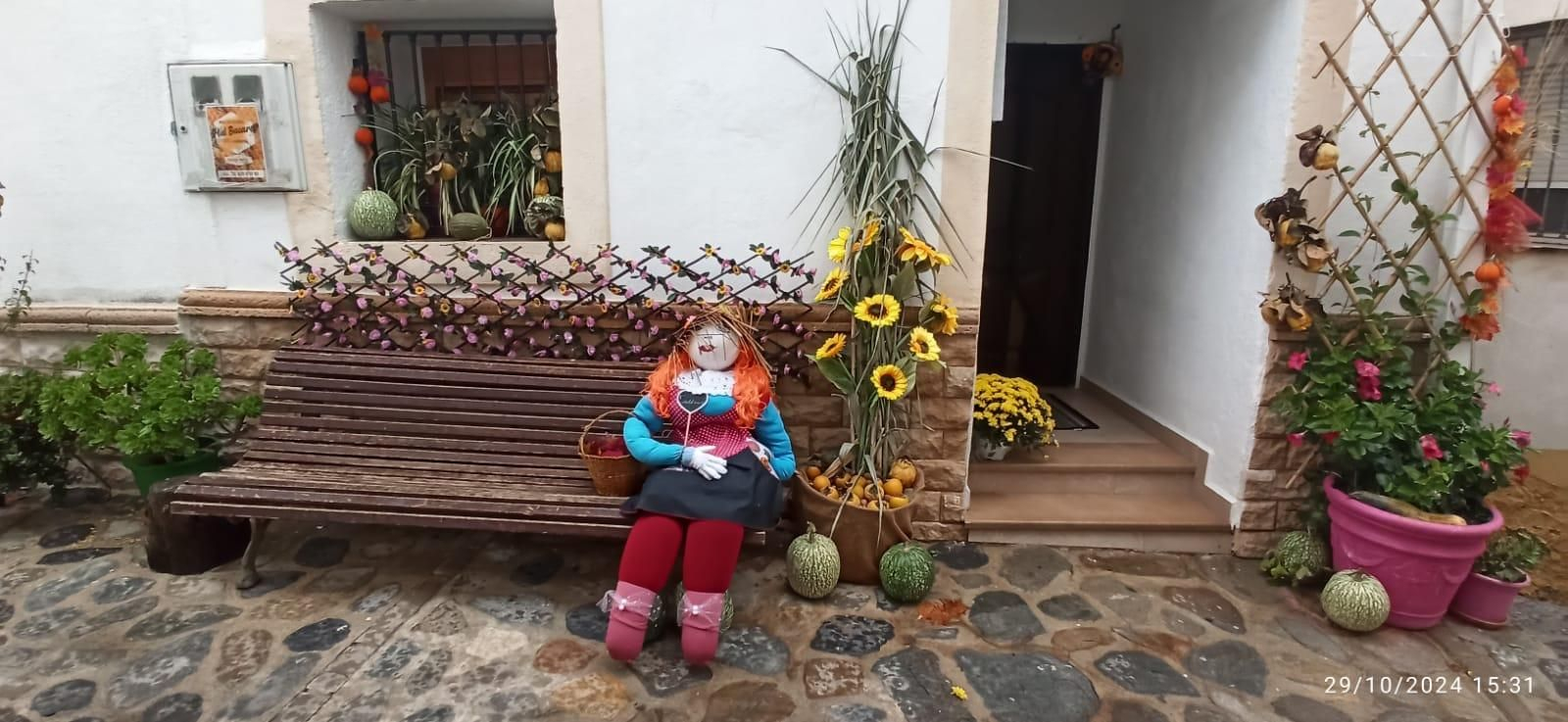 Conoce a los 27 vecinos nuevos que han llegado a vivir a Bacares este otoño