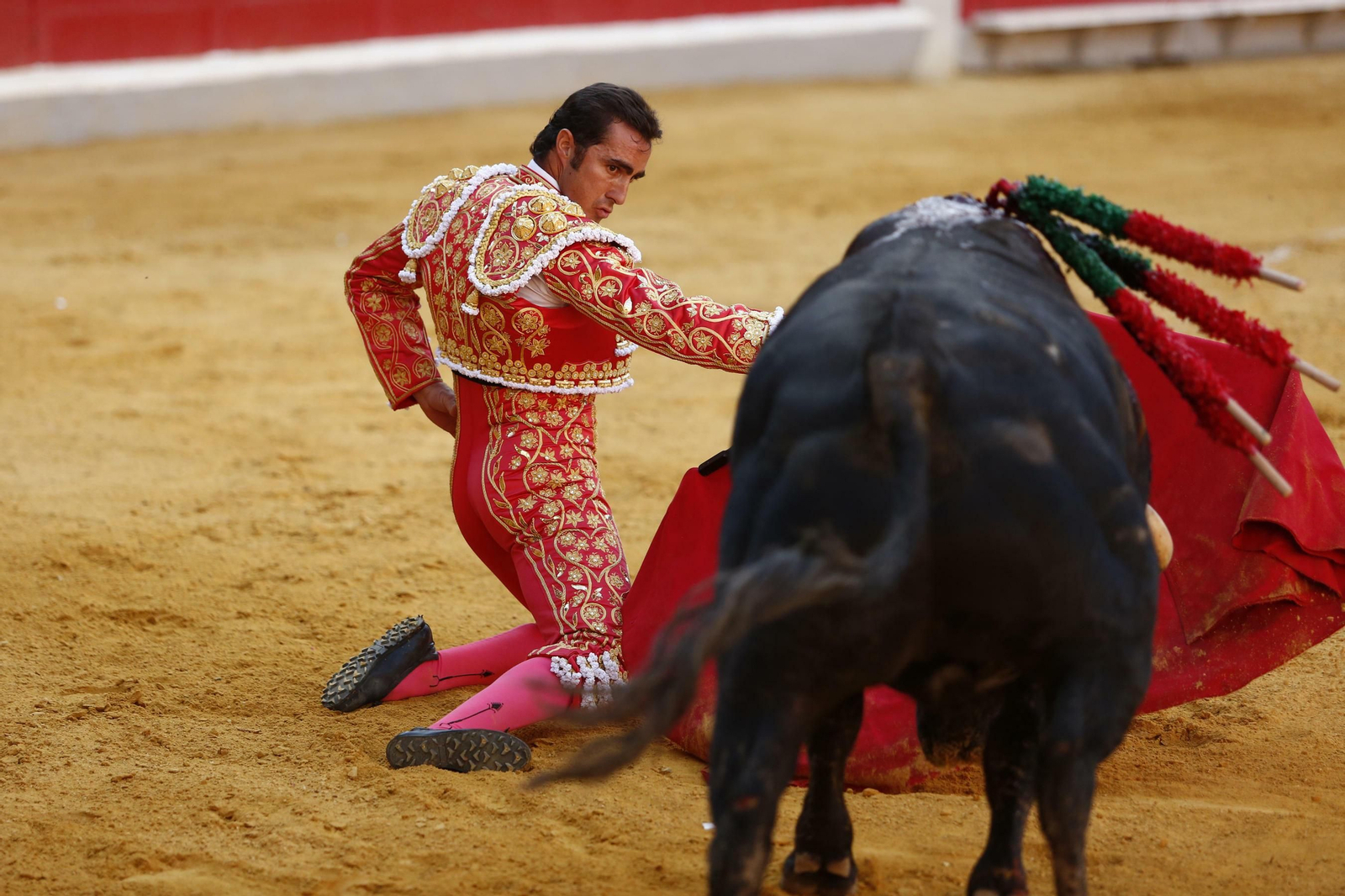 Las mejores imágenes de los toros en el Corpus