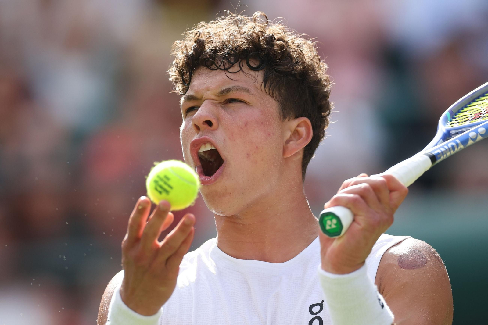 Las fotos de Wimbledon con las clasificaciones de Djokovic y Sinner