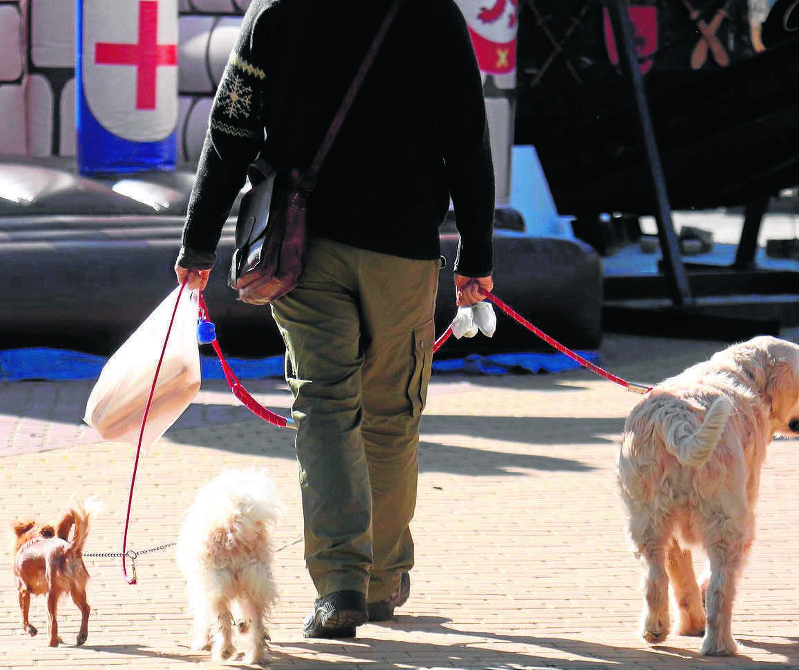 Un hombre pasea junto a sus tres perros.