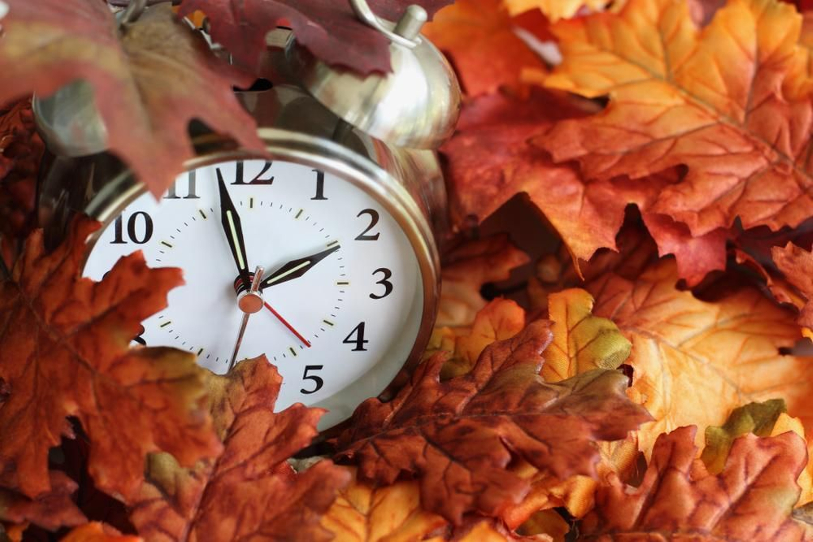 Un reloj marca las 02:00 entre varias hojas caducas. Un reloj marca las 02:00 entre varias hojas caducas.
