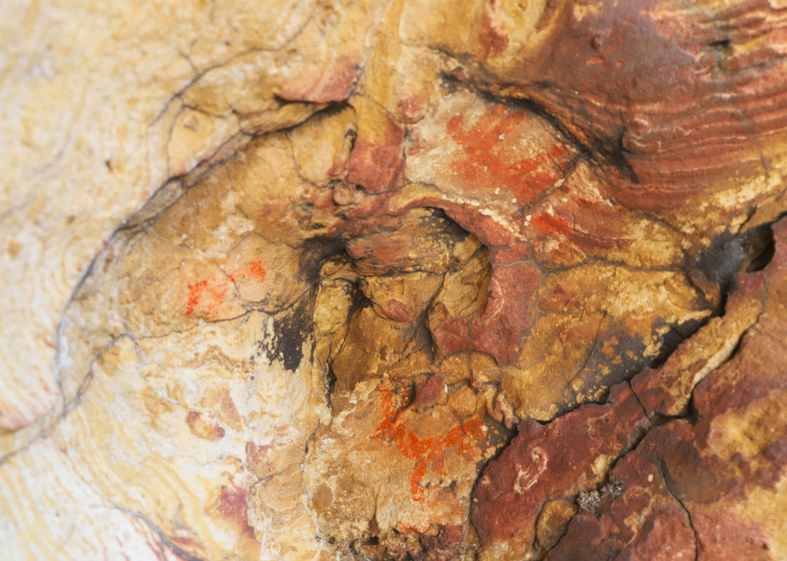 La hornacina de los ciervos