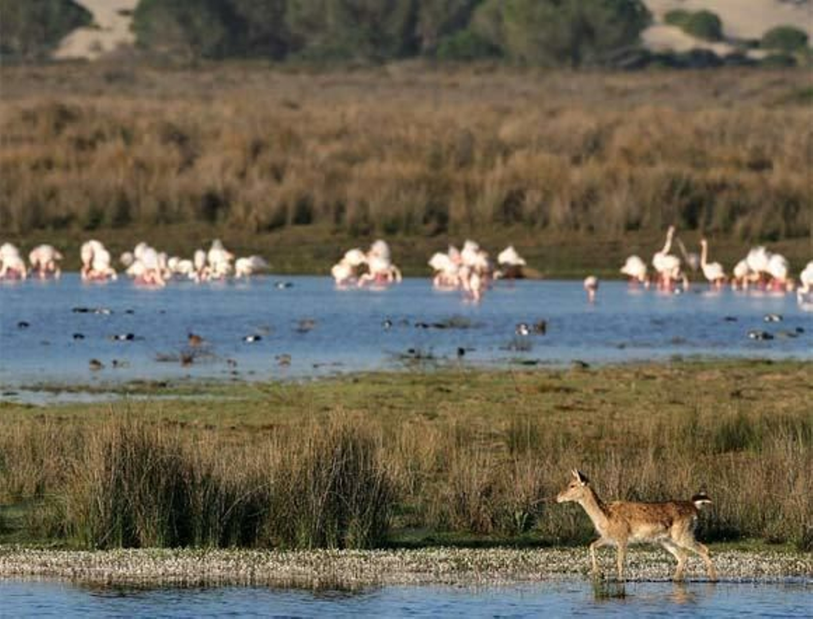 Andalucía en el alma