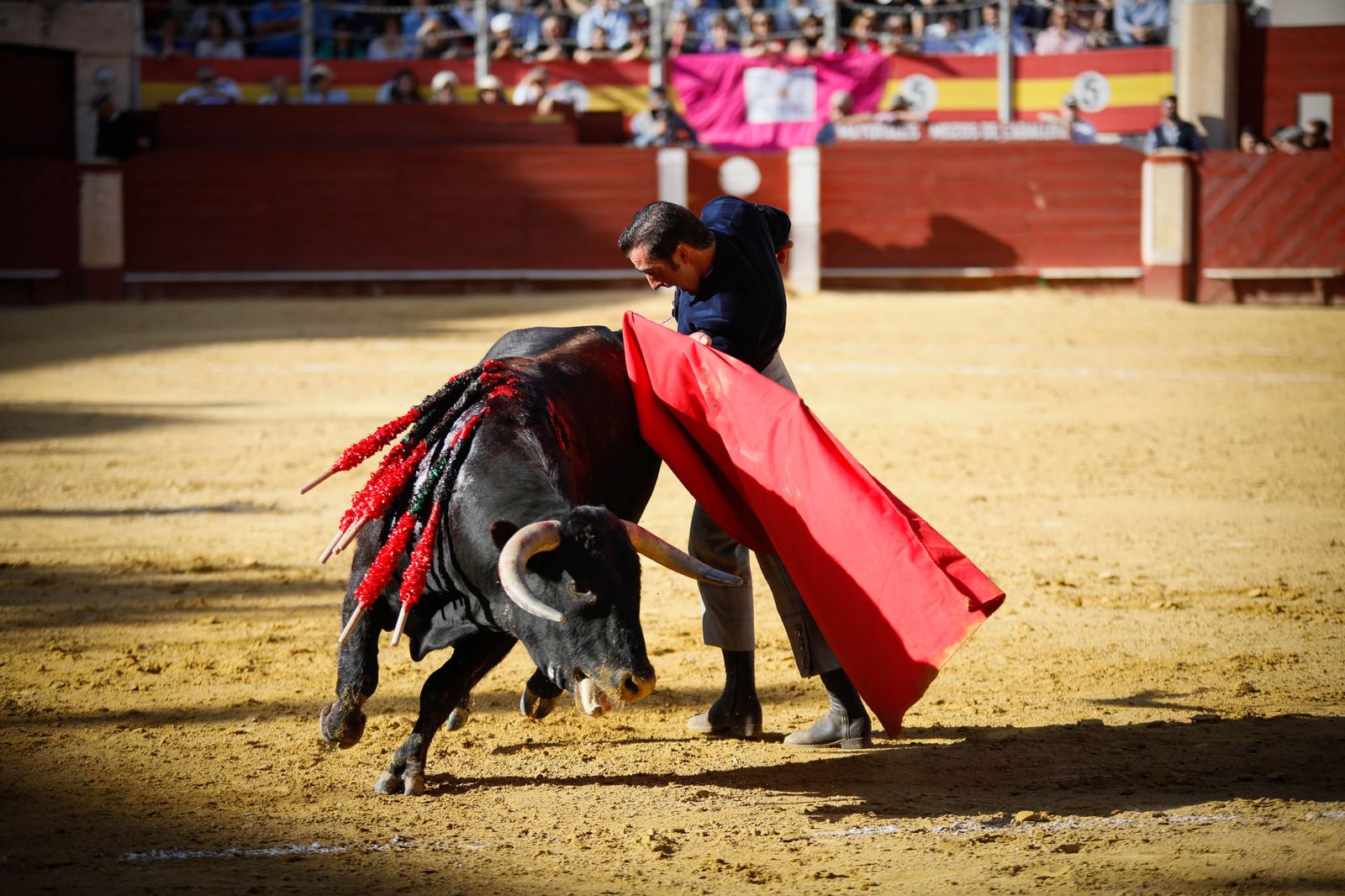 Imágenes del festival mixto lucha contra el cáncer