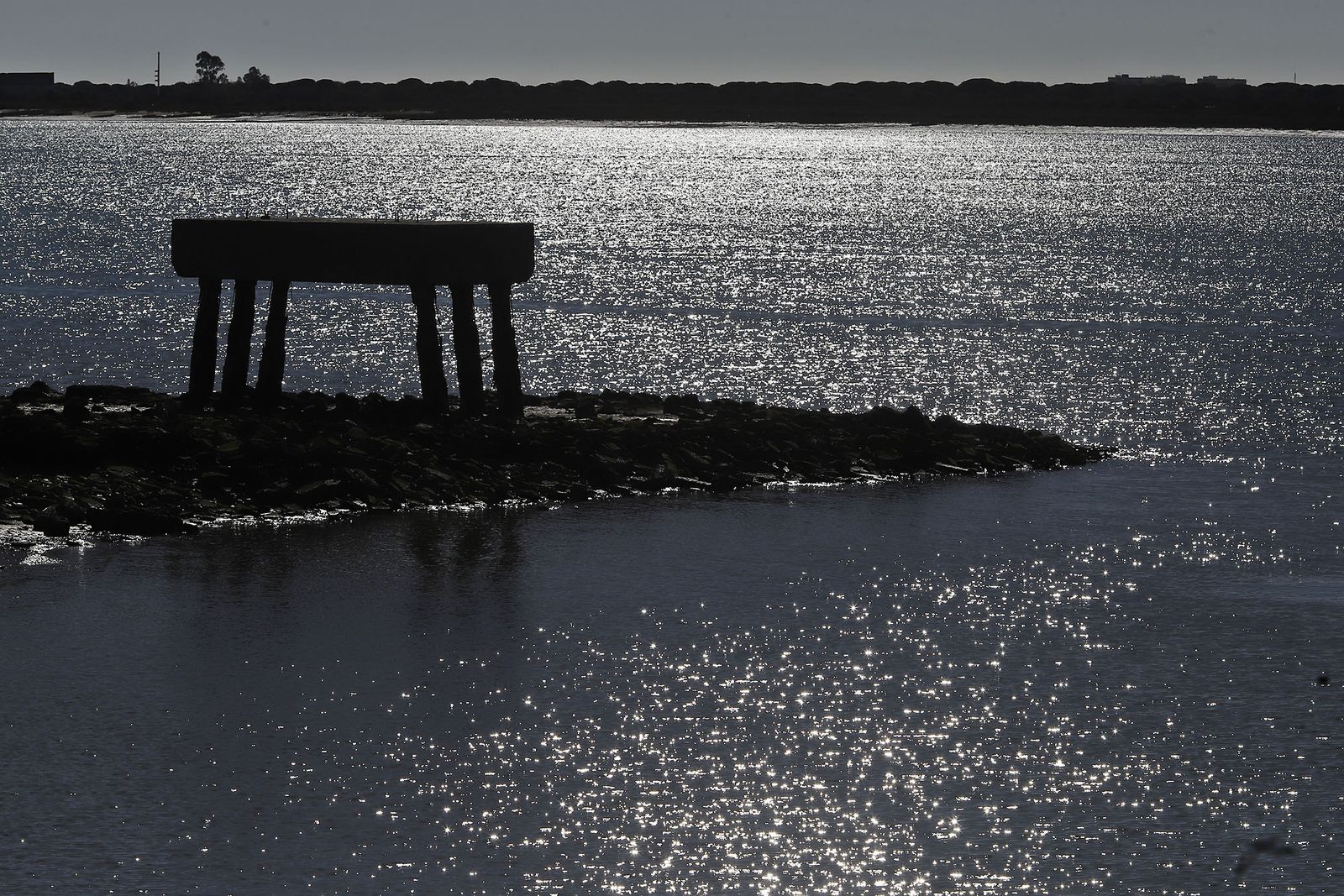 Las imágenes más destacadas del domingo 3 de diciembre en Huelva