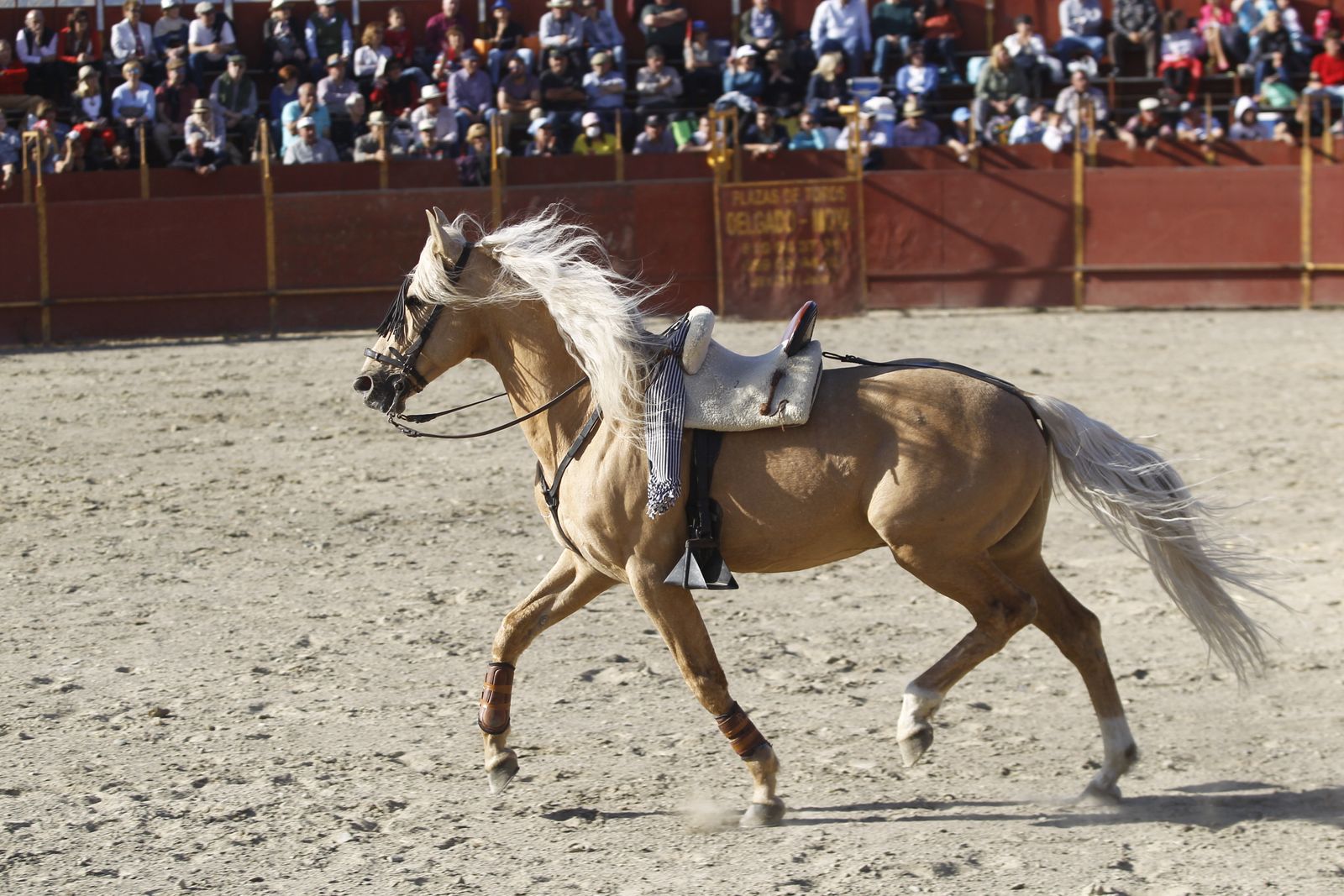 Fotogalería Festival Taurino Mixto. Fiestas de Abrucena.